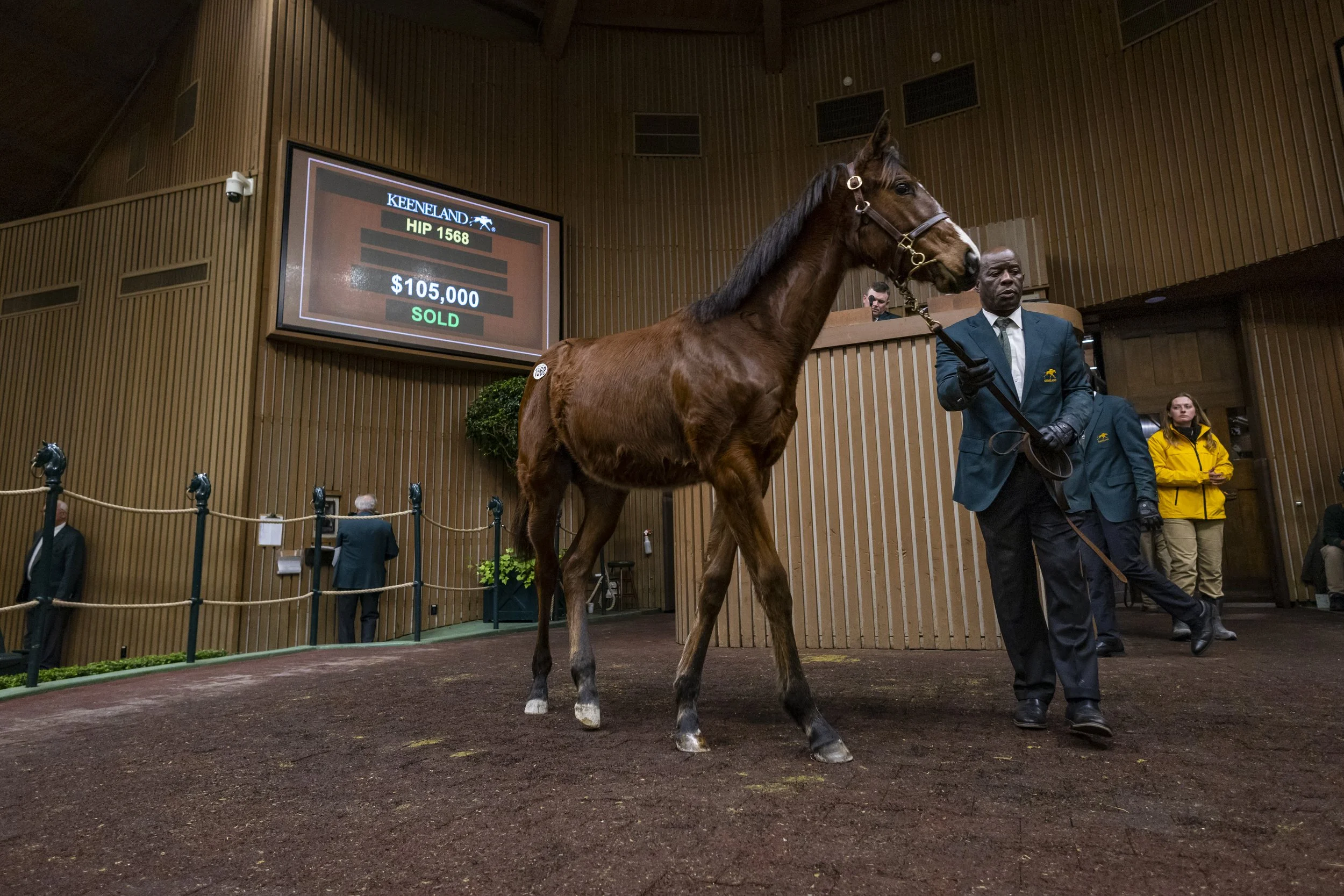 230112KeenelandSalesJan-2334.jpg