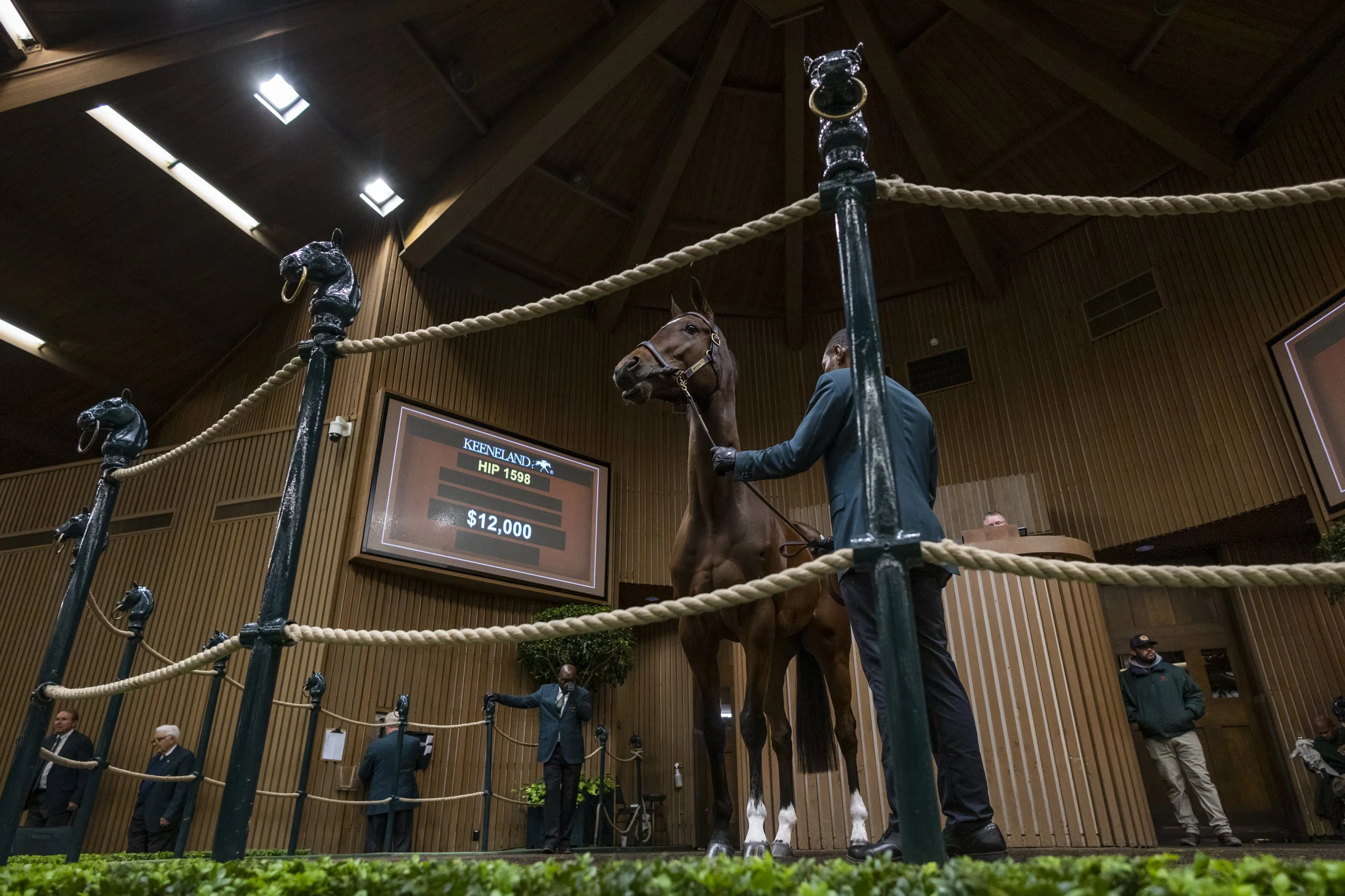 230112KeenelandSalesJan-2355.jpg