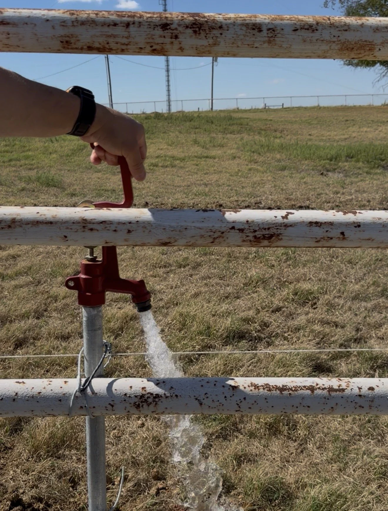 water flowing from a spigot in a grassy field