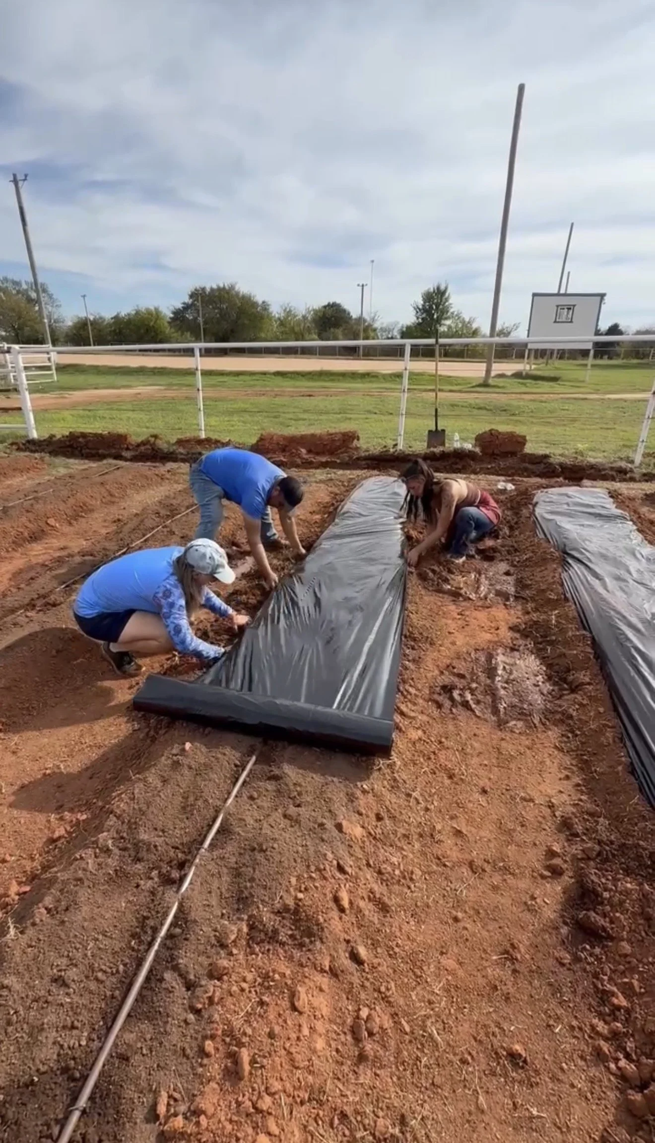 people laying plastic mulch on top of rows of dirt