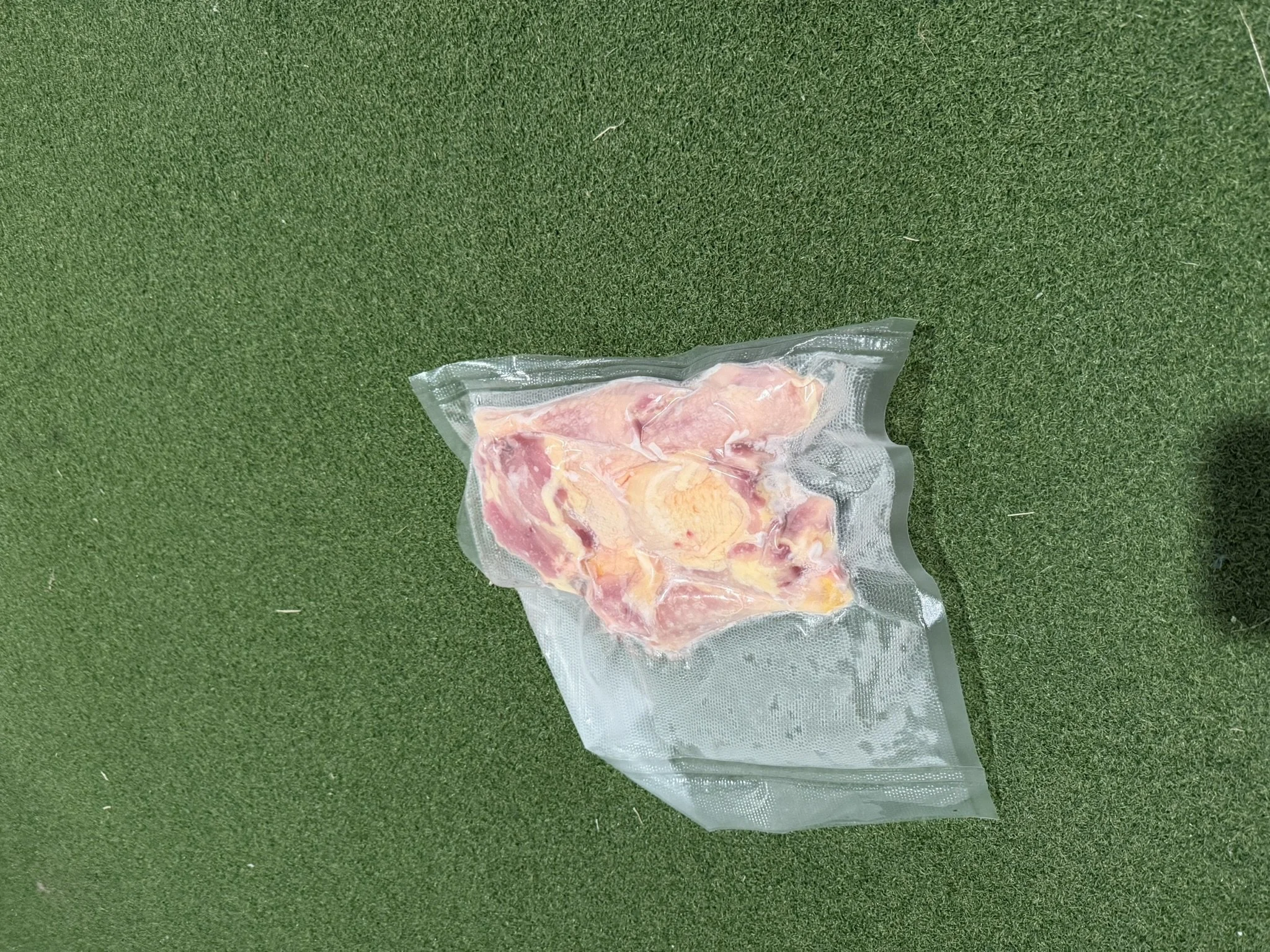Vaccum sealed bag of chicken