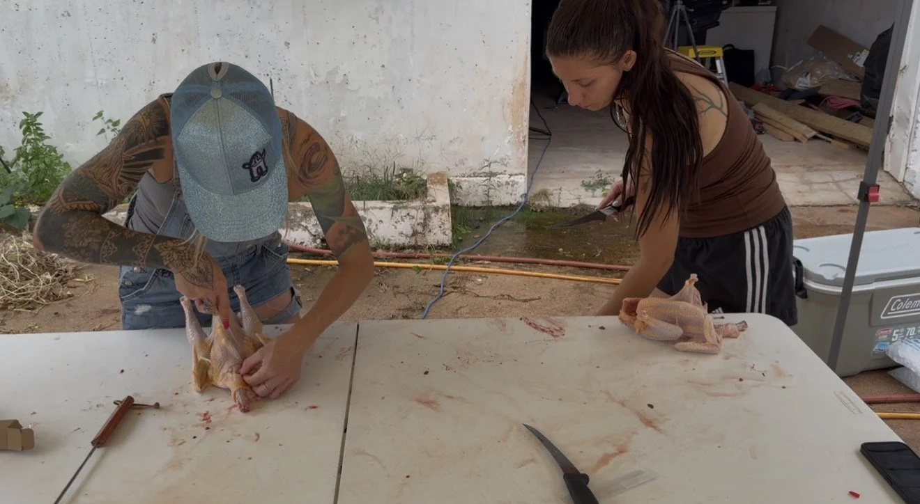 Two women butchering chickens outdoor