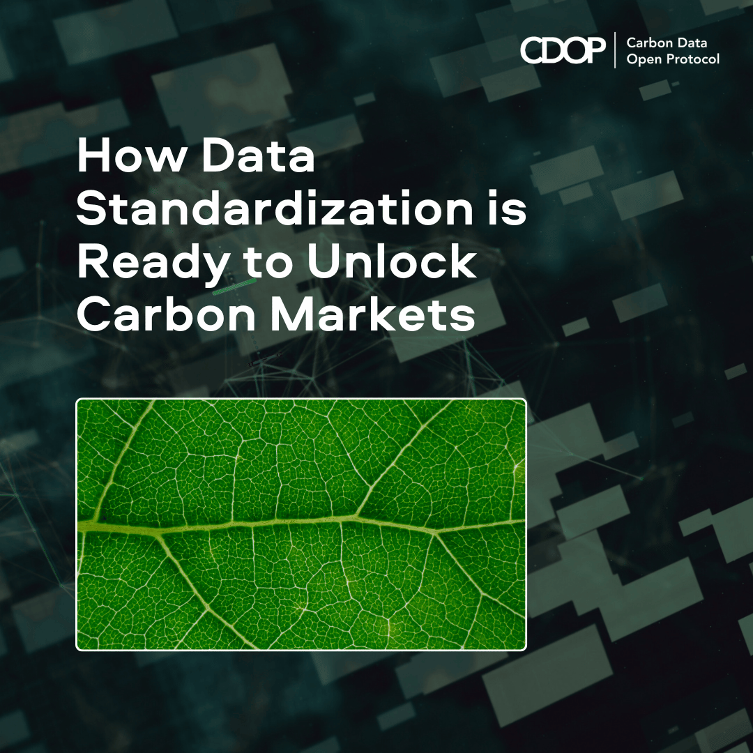 How Data Standardization is Ready to Unlock Carbon Markets