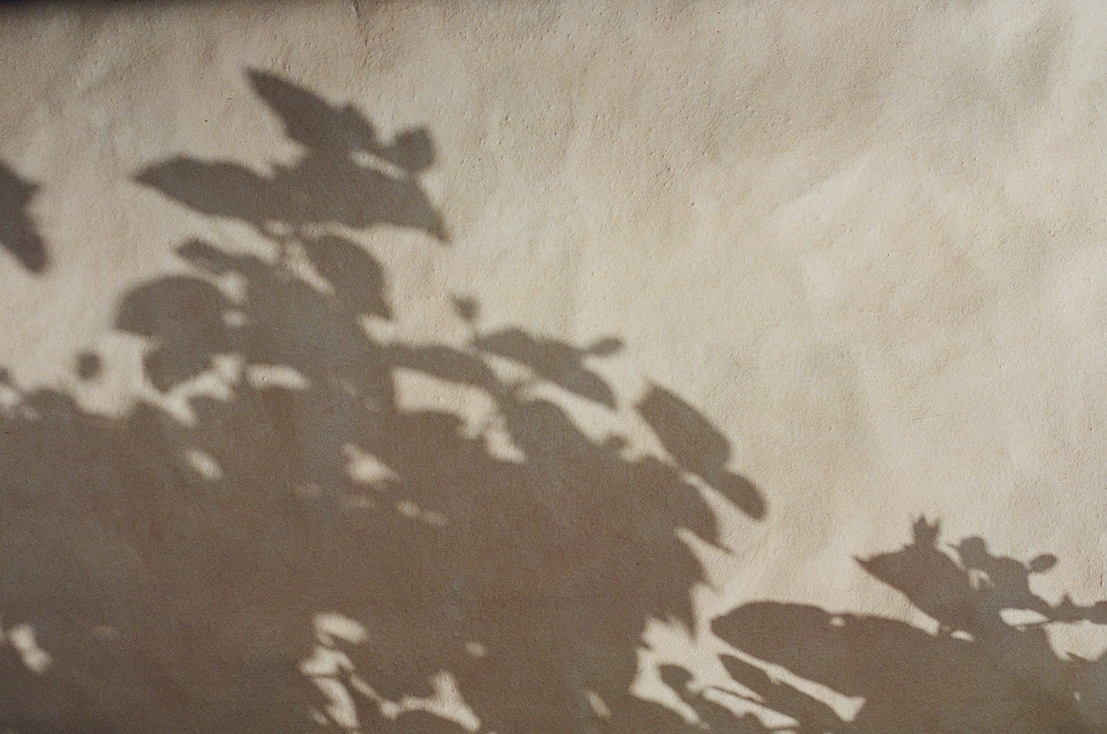 AS - Film-56.jpg