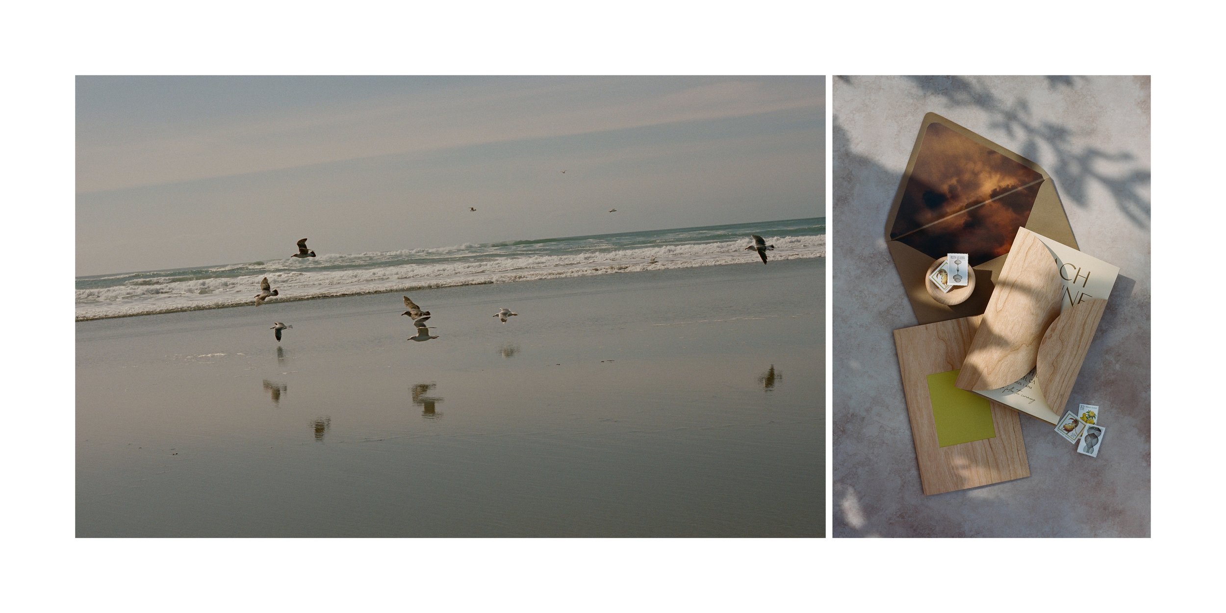 Zach & Dune - Sample Album_02.jpg