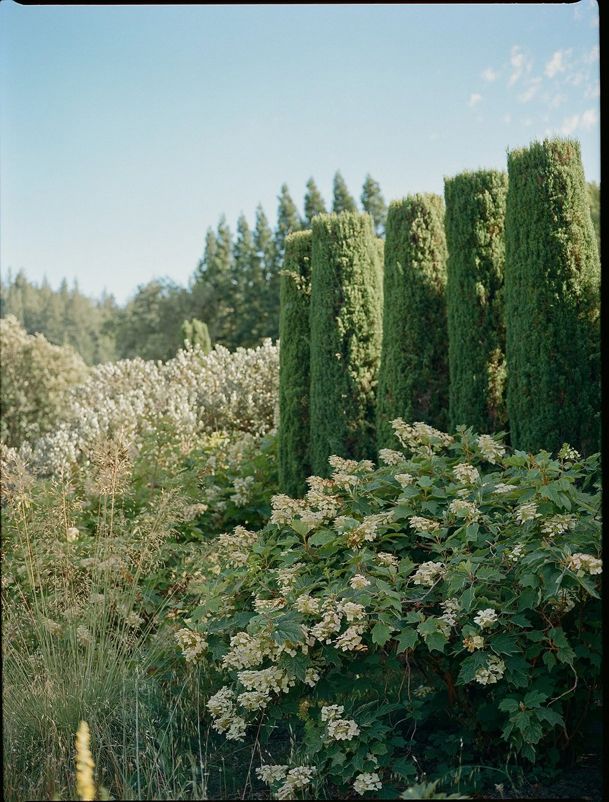 MicheleHenri-2.jpg