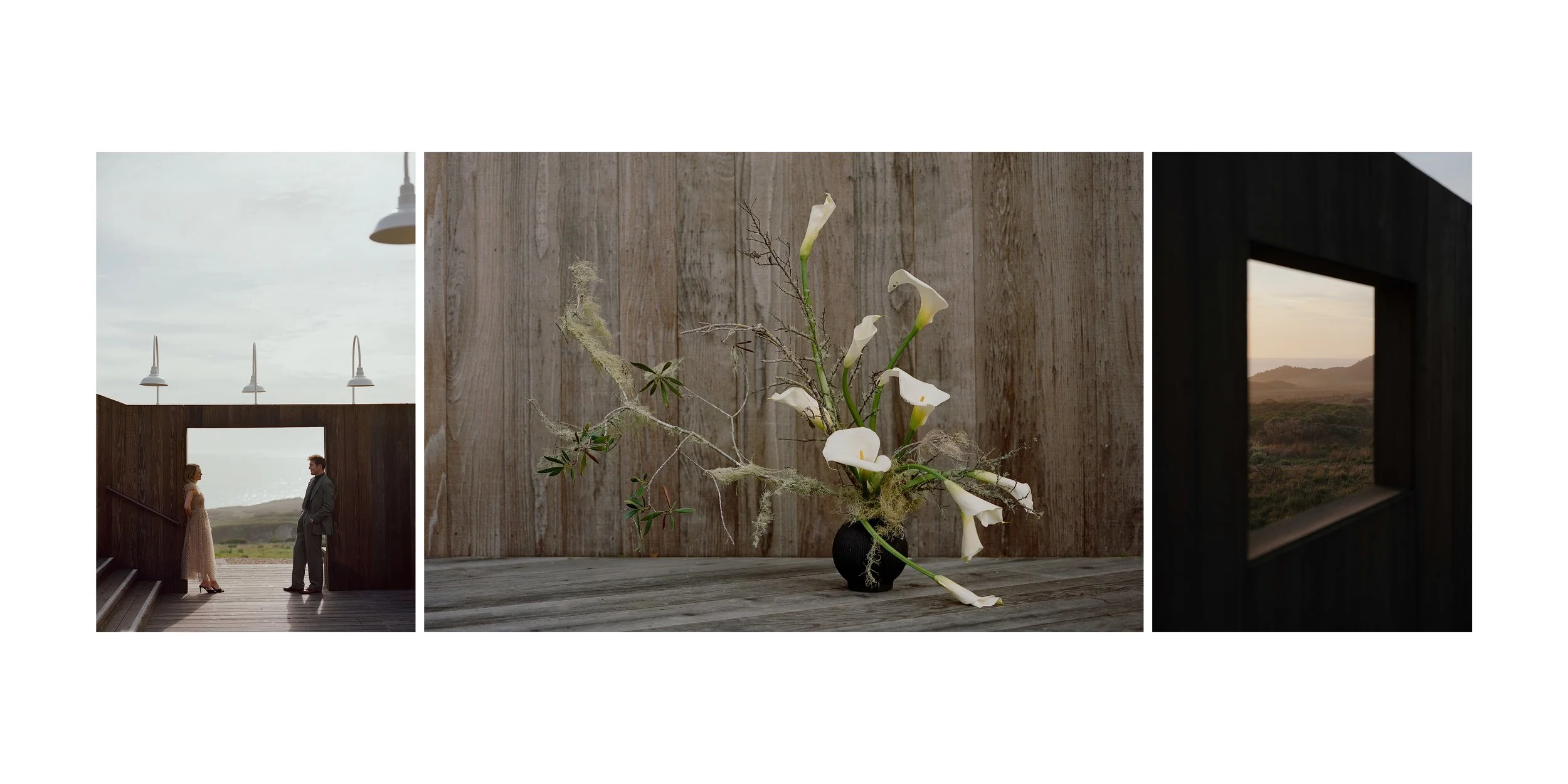 Zach & Dune - Sample Album_04.jpg