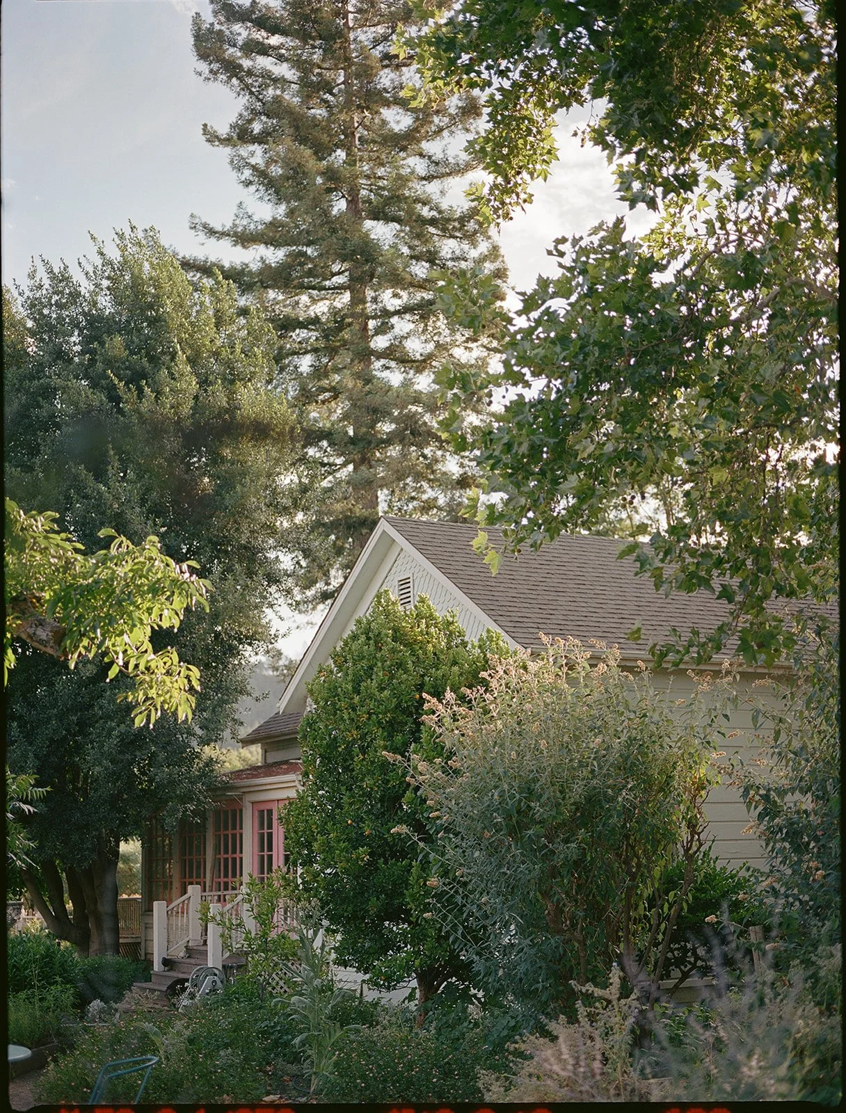 MicheleHenri-72.jpg