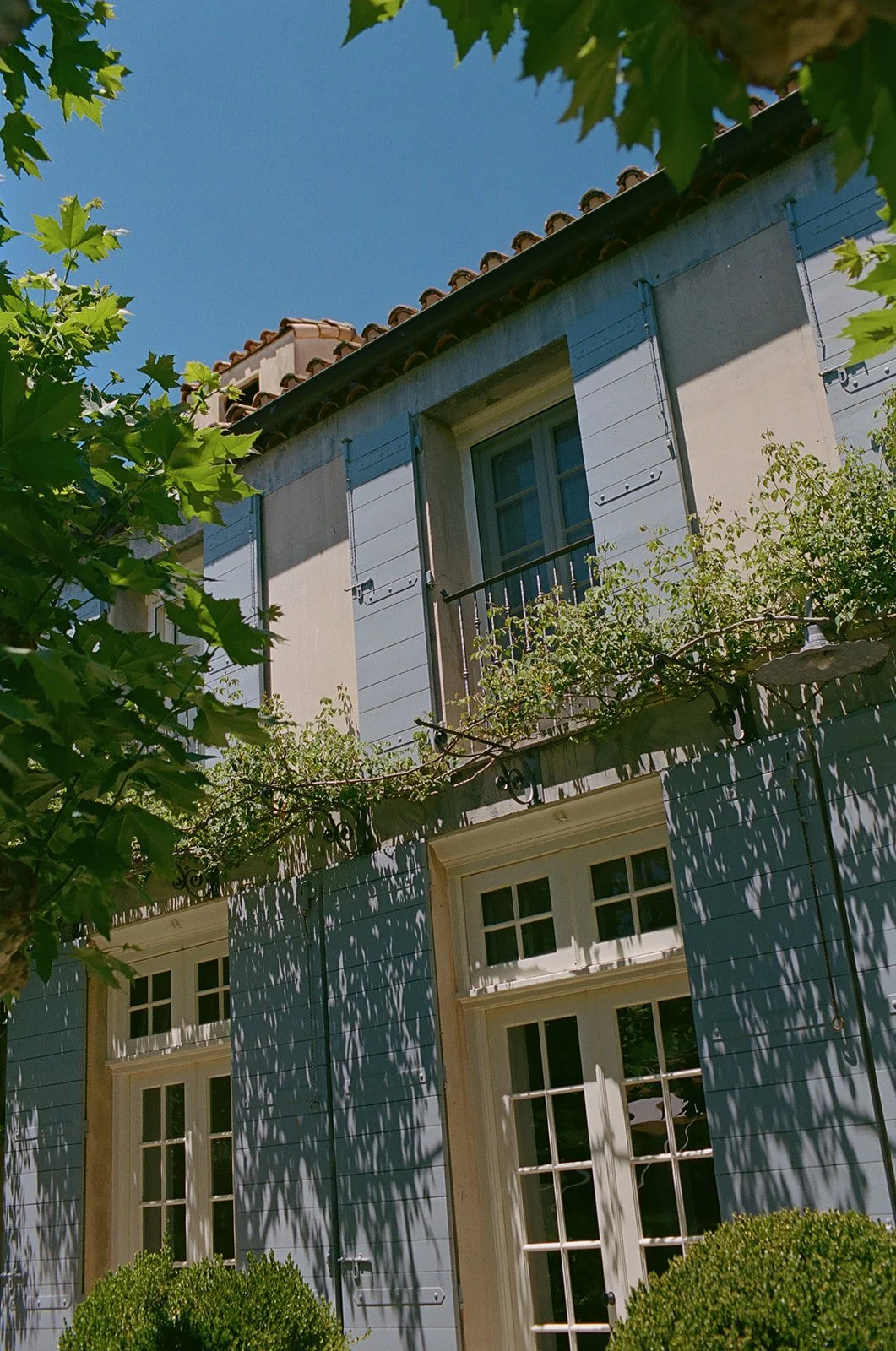 MicheleHenri-50.jpg