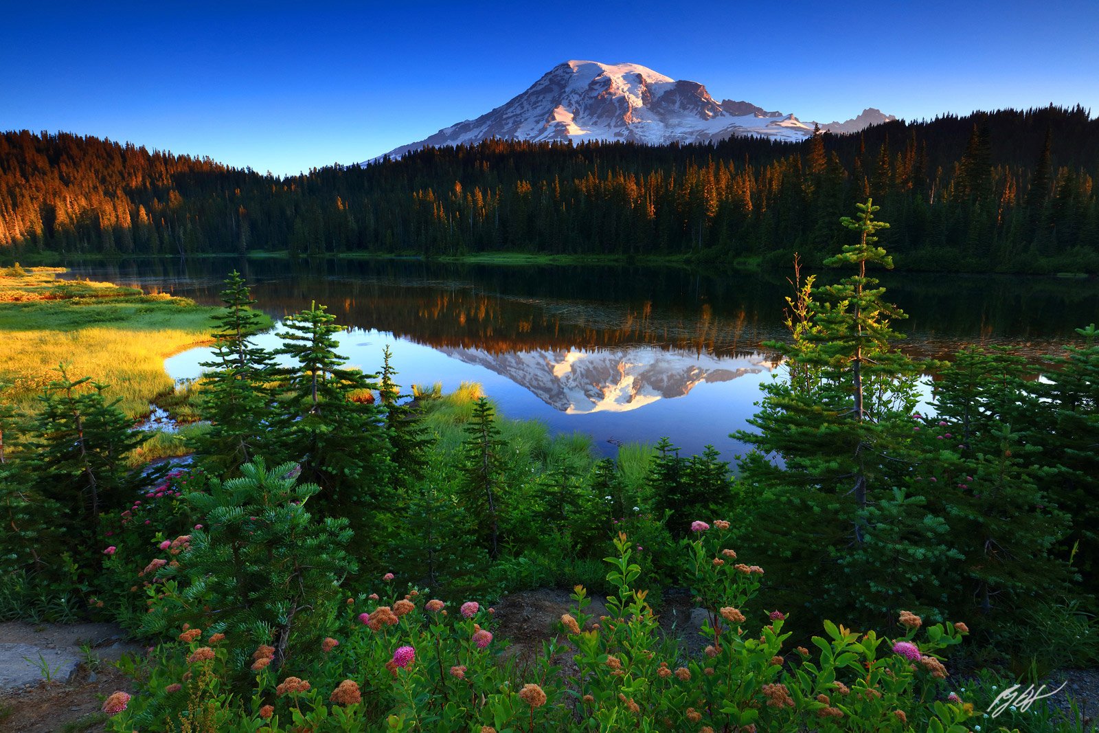 M456-First-Light-Mt-Rainier-and-Reflection-Lakes-WA.jpg