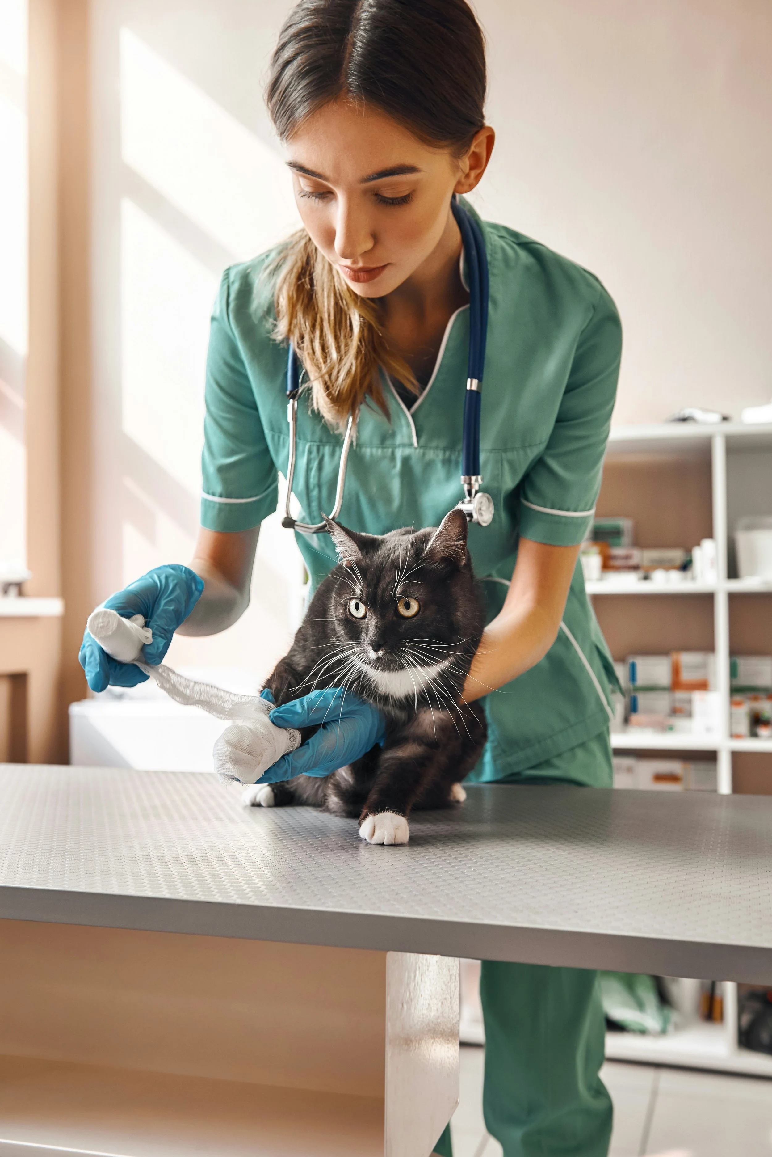 World Veterinary Day: A Moment of Gratitude