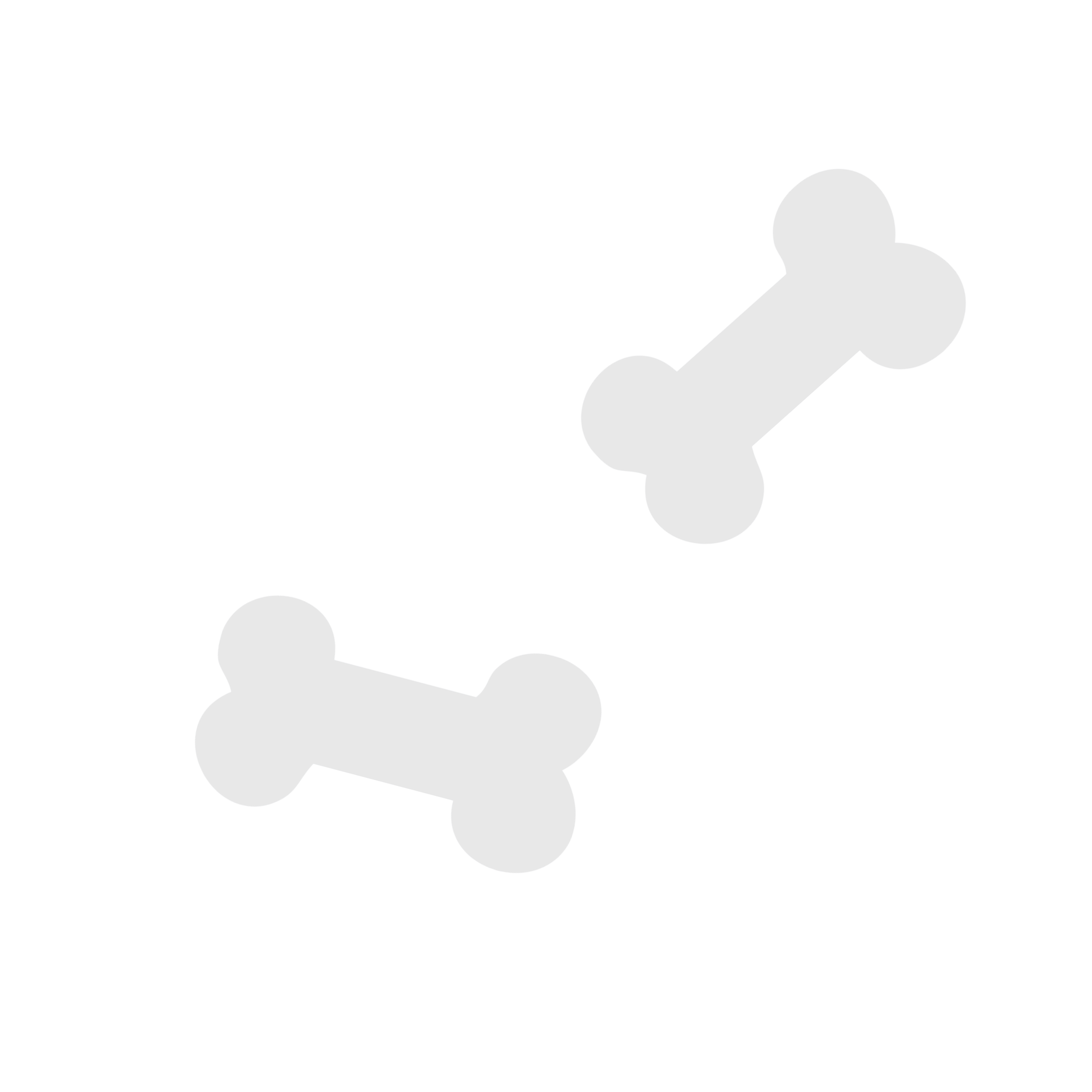Black background with two white dog bone icons, one in the lower left and one in the upper right.