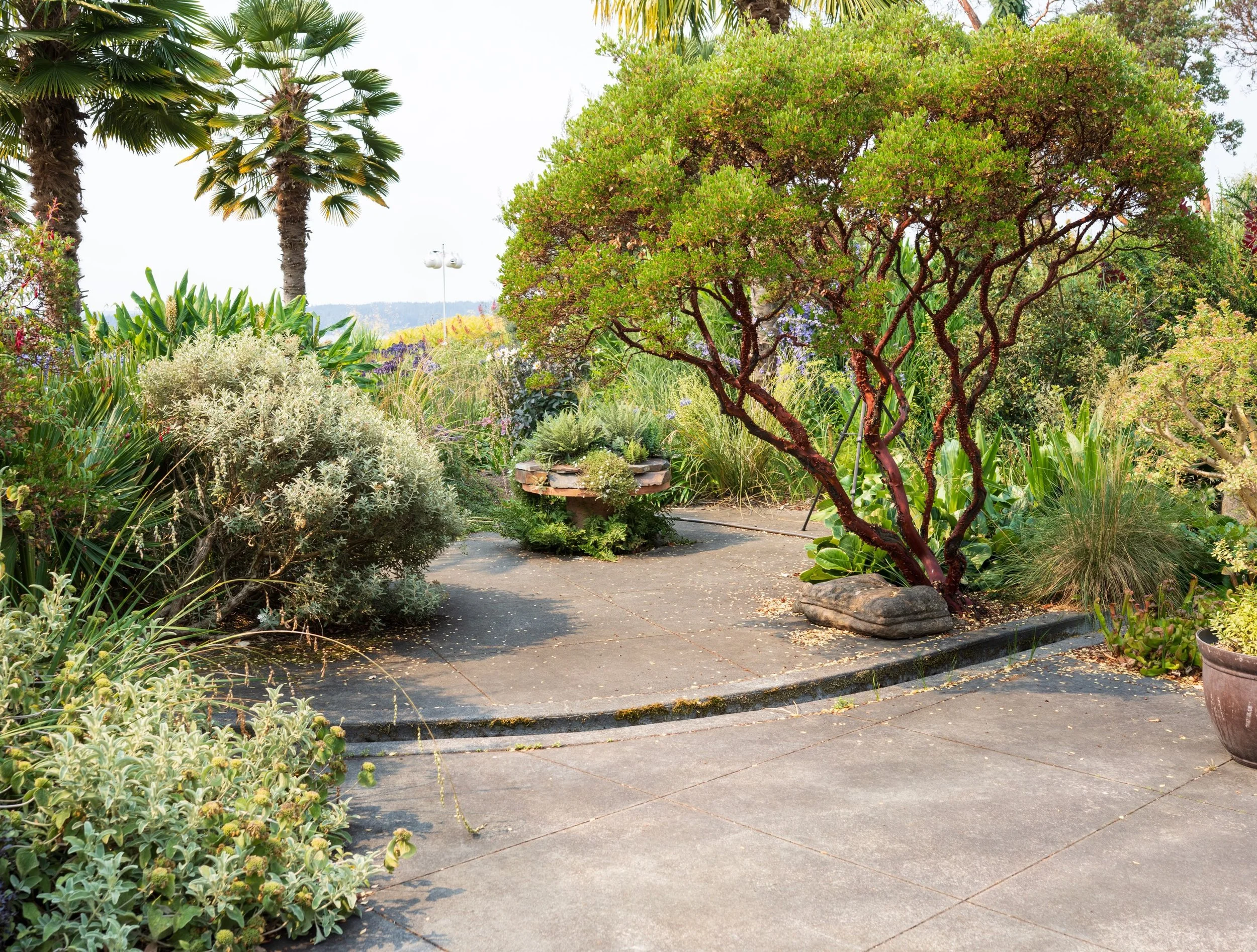What I love about @windcliffgardenandnursery is how deeply personal it feels. Every layer reflects a point of view, a plant obsession, and years of paying attention. It reminds me that the most memorable gardens are not designed to look finished or b