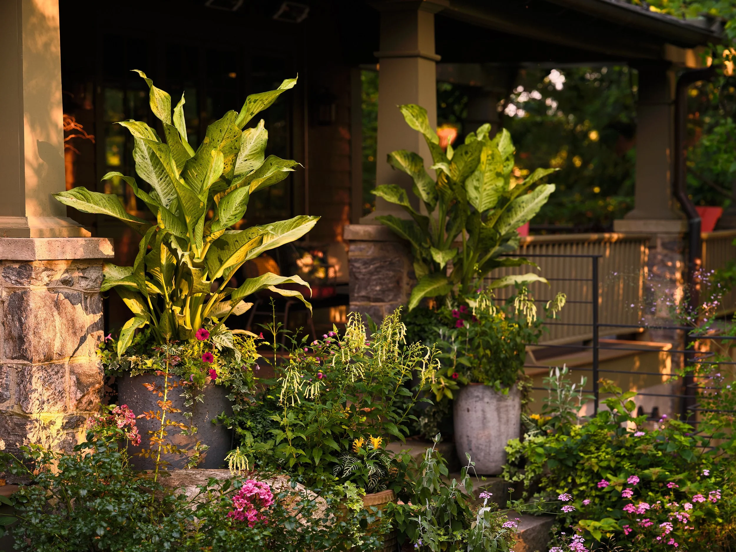 Curated seasonal containers for hospitality spaces, Bainbridge Island and Gig Harbor