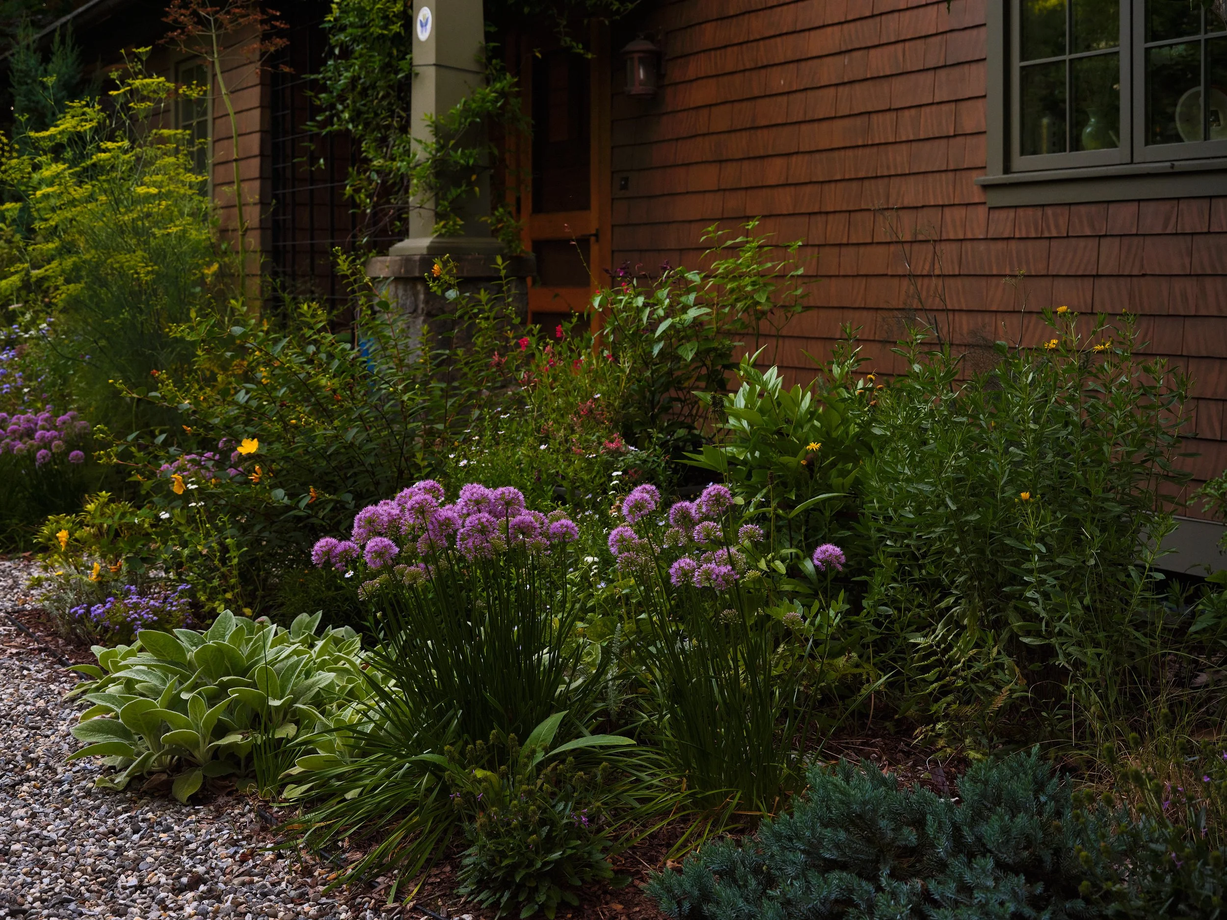 7.30.24 Ashley_Bellair Dr_Web_22.jpg