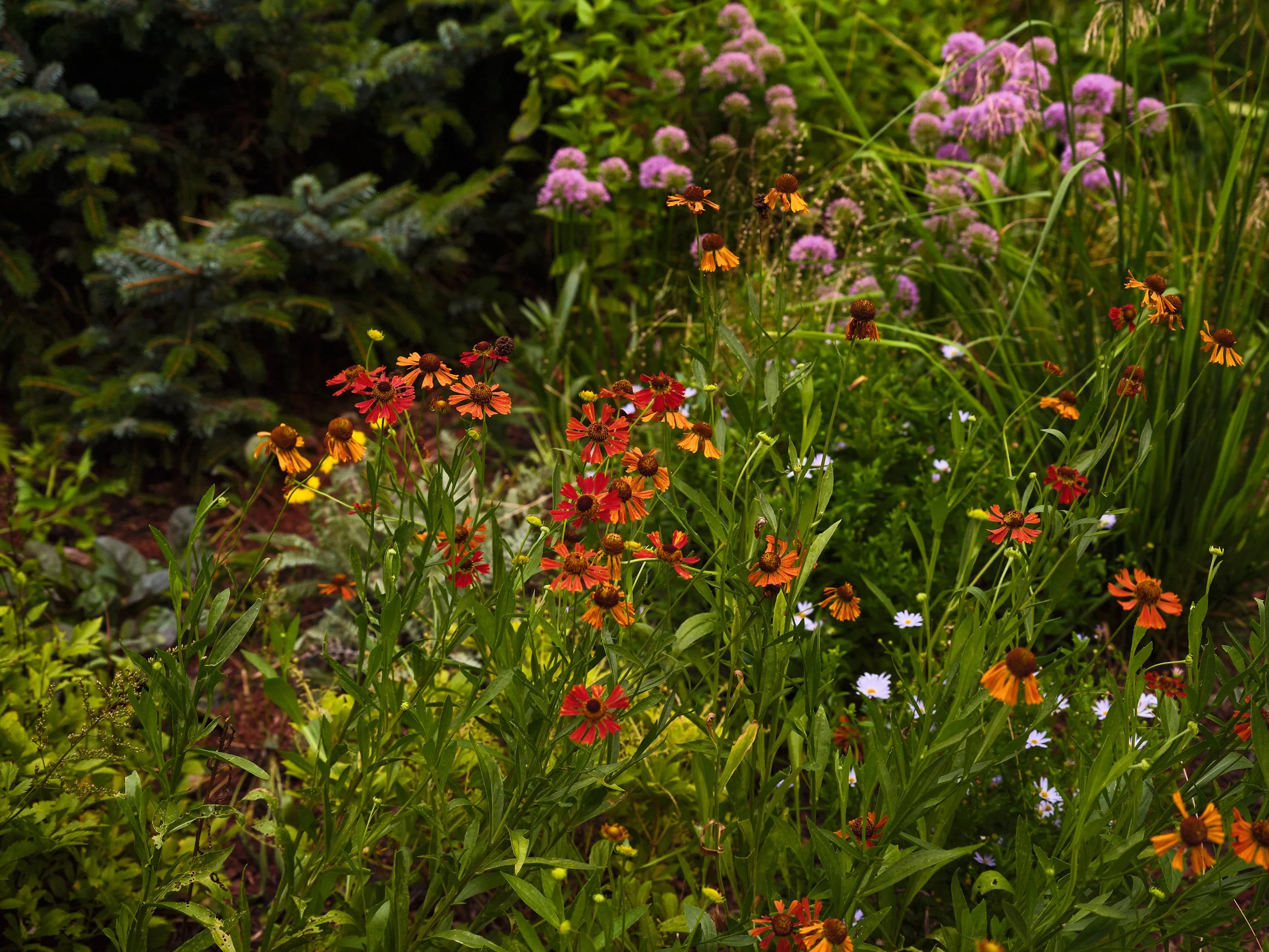 7.30.24 Ashley_Bellair Dr_Web_23.jpg