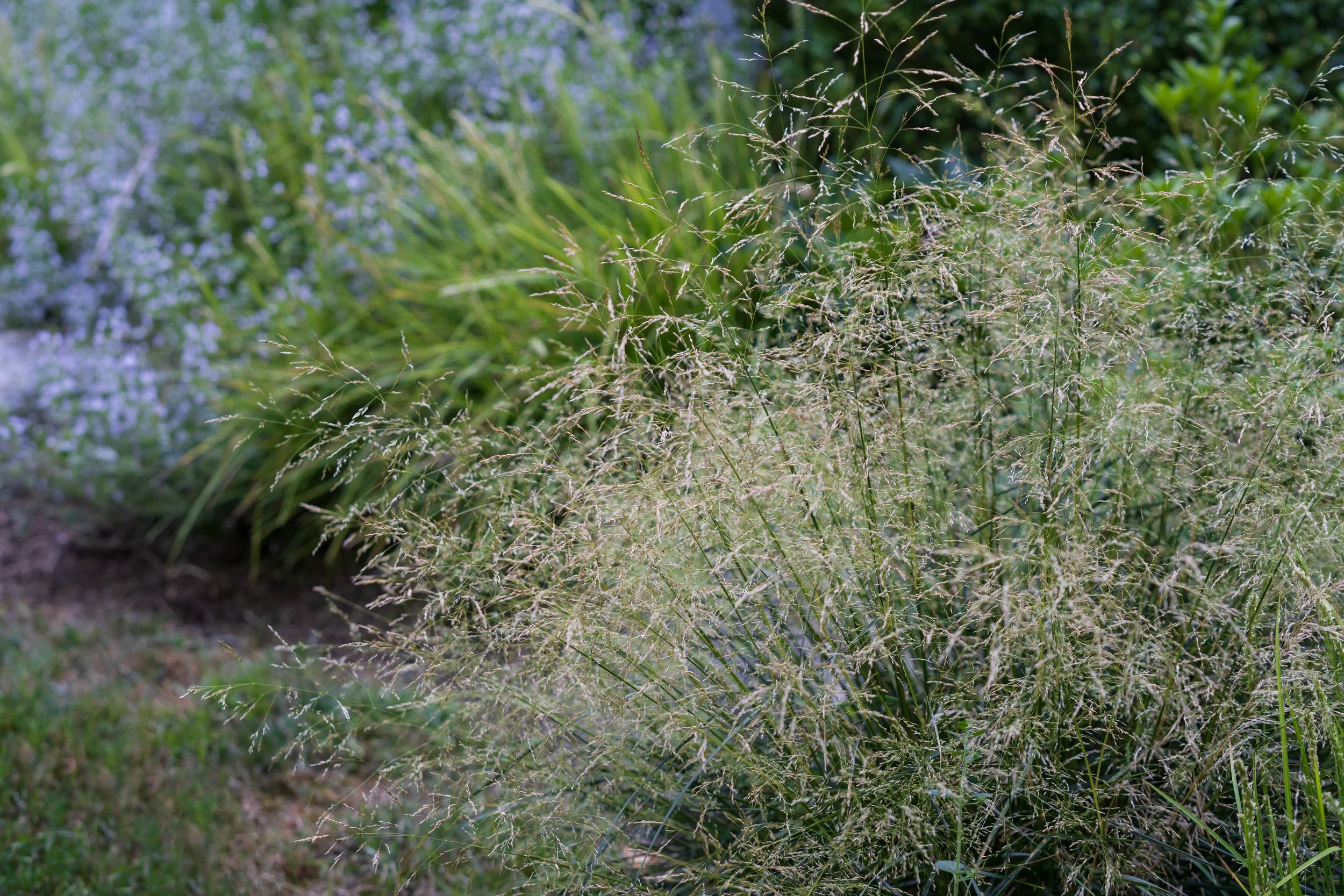 DSC03086.jpg