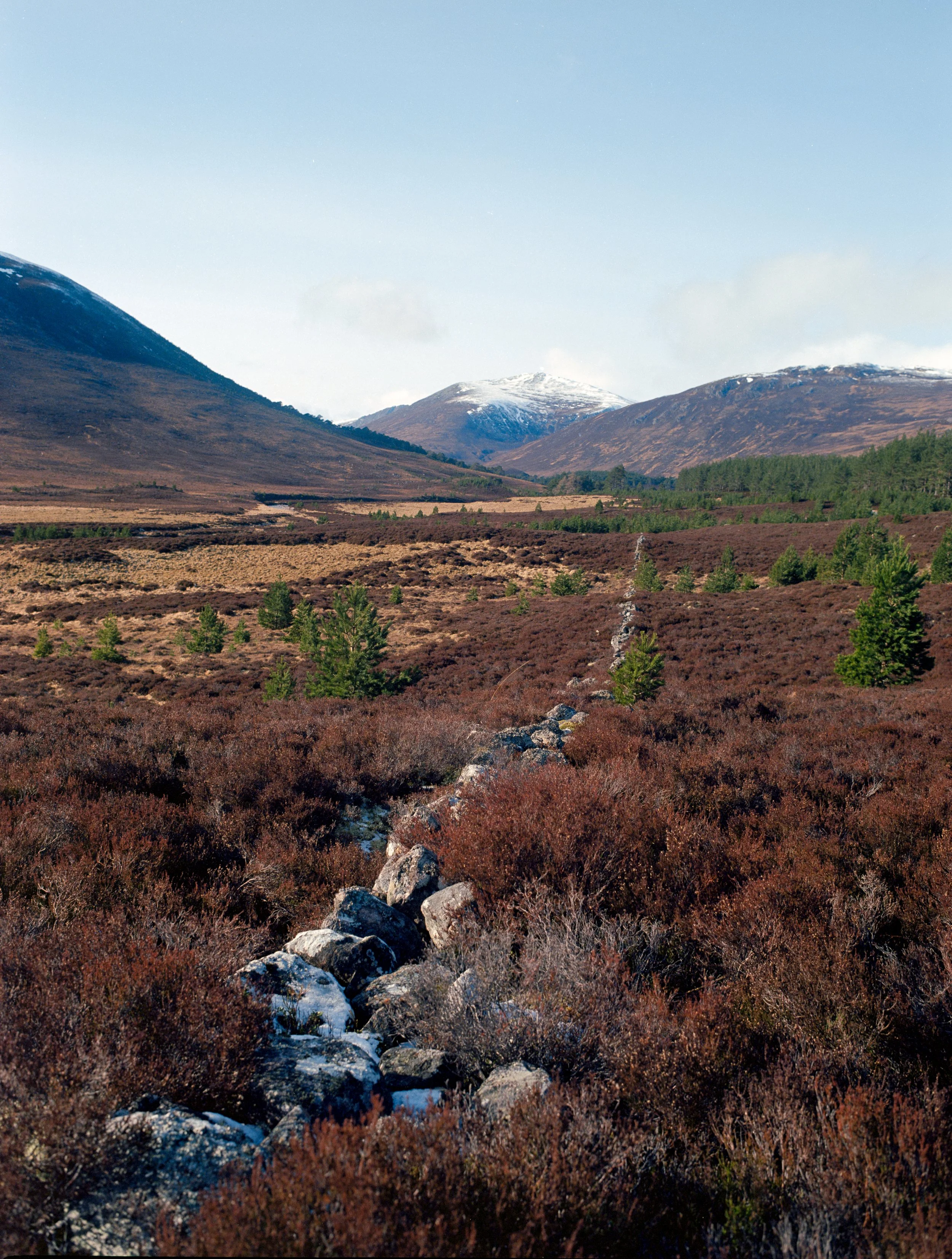 Cairngorms 5.jpg
