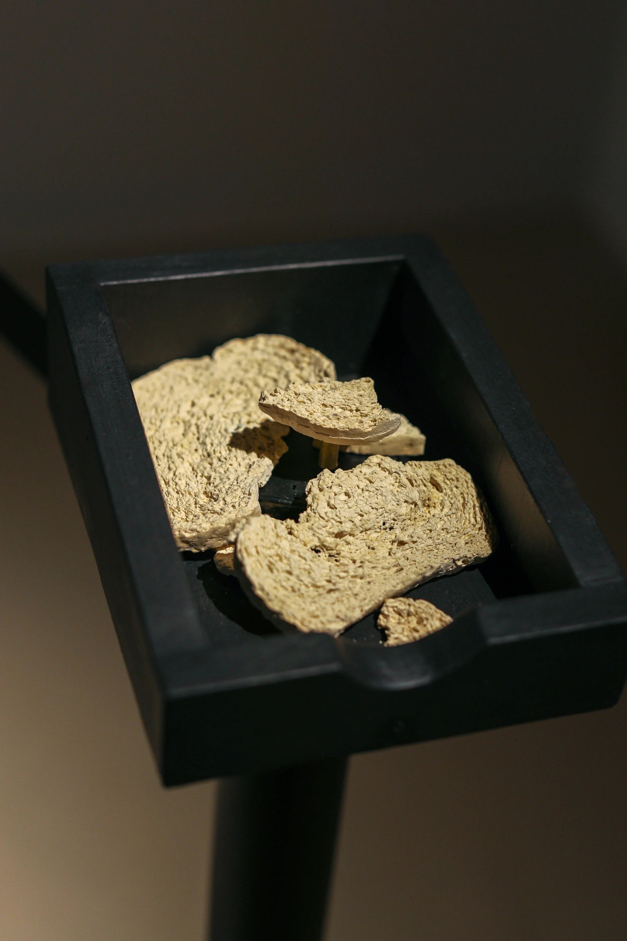 Becky Sellinger, Kropotkins Klock, 2026,
black stanchion, wood, durhams rock hard putty, clock mechanism, Dimensions variable

photo credit: Theo Cote