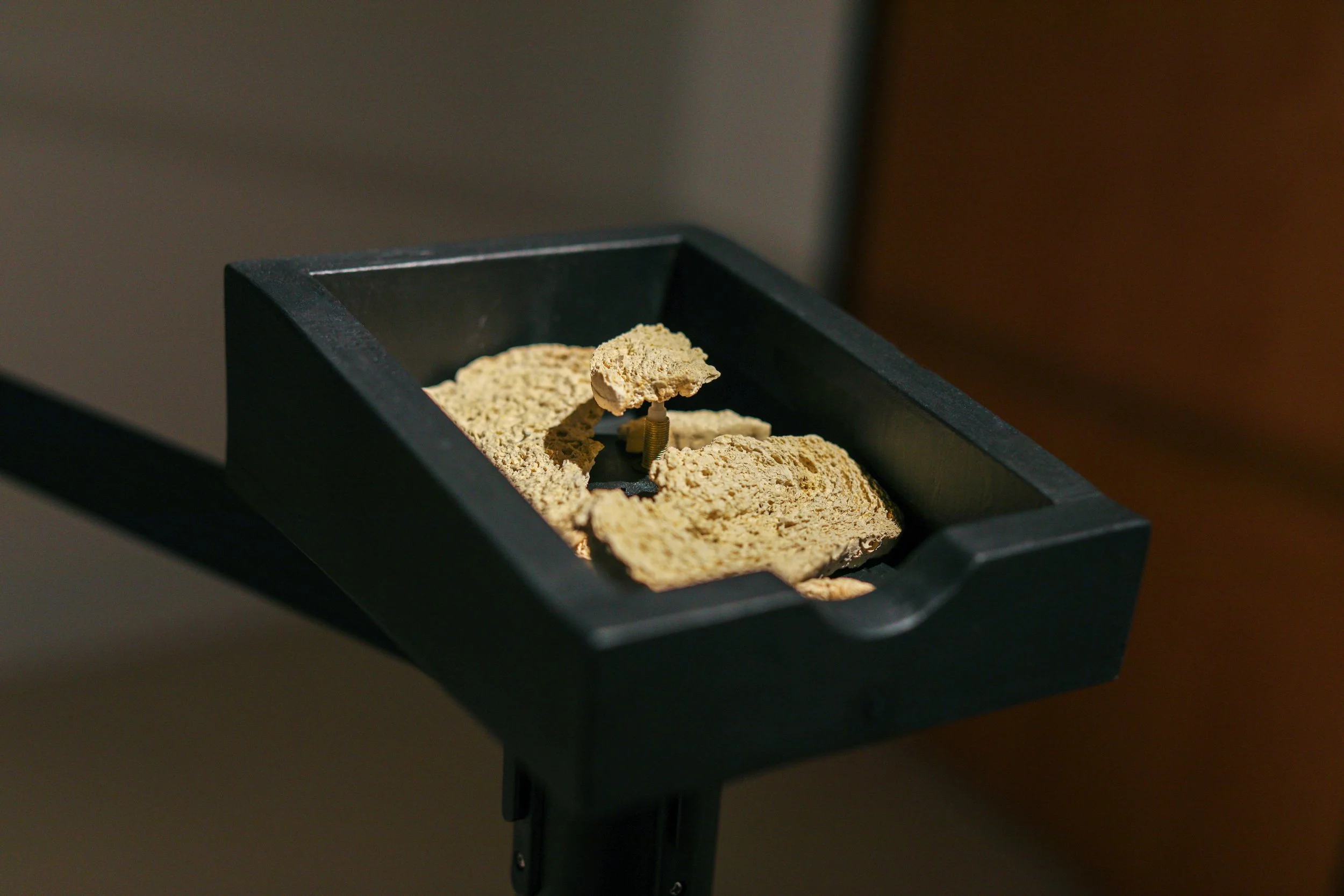 Becky Sellinger, Kropotkins Klock, 2026, black stanchion, wood, durhams rock hard putty, clock mechanism
Dimensions variable

photo credit: Theo Cote