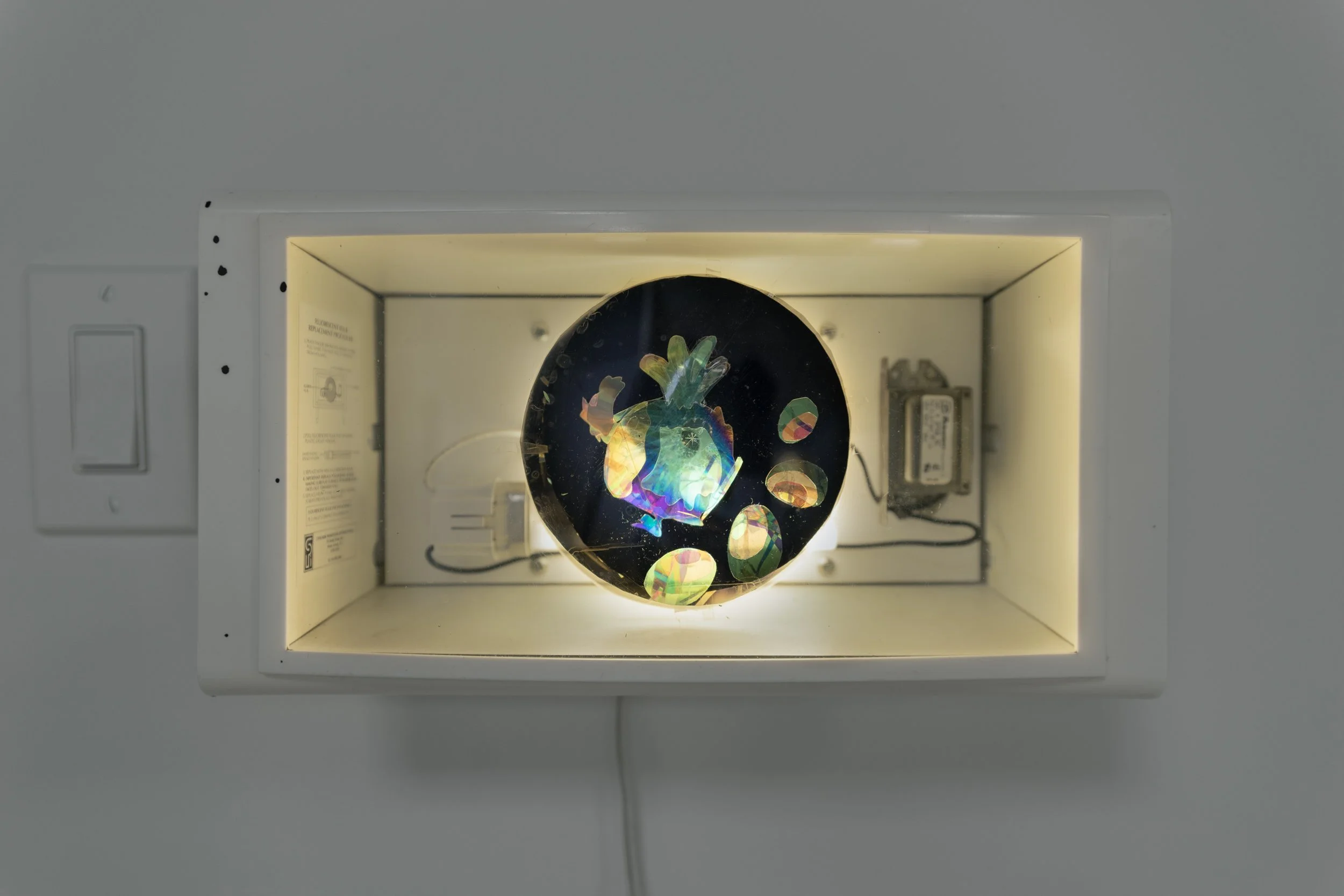 Nathaniel de Large
EGGS, 2025
Sign cabinet, polarizing film, tape
13.25 x 7 x 5"
