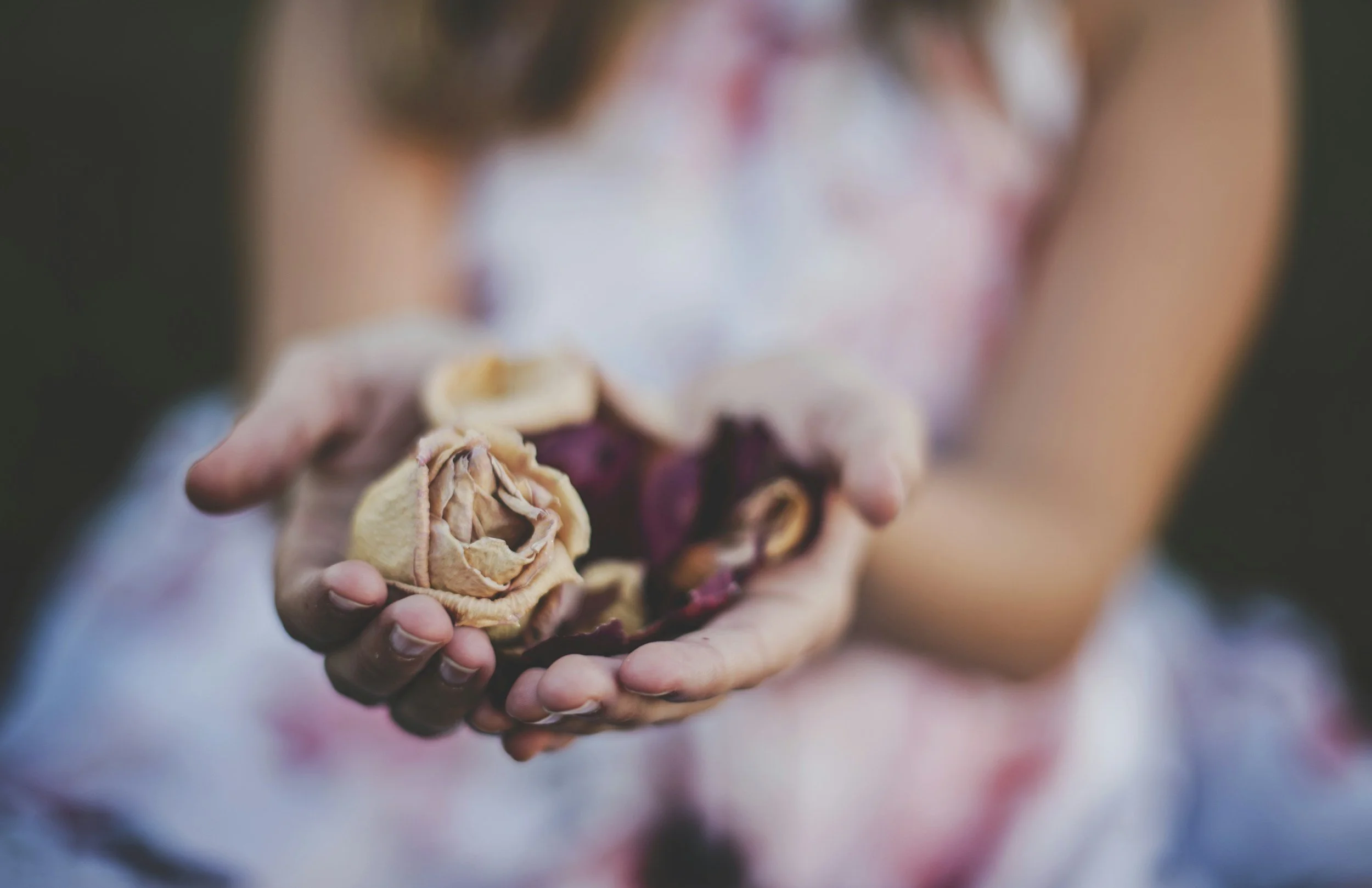A person holding dried and shriveled walnuts and a halved fig.