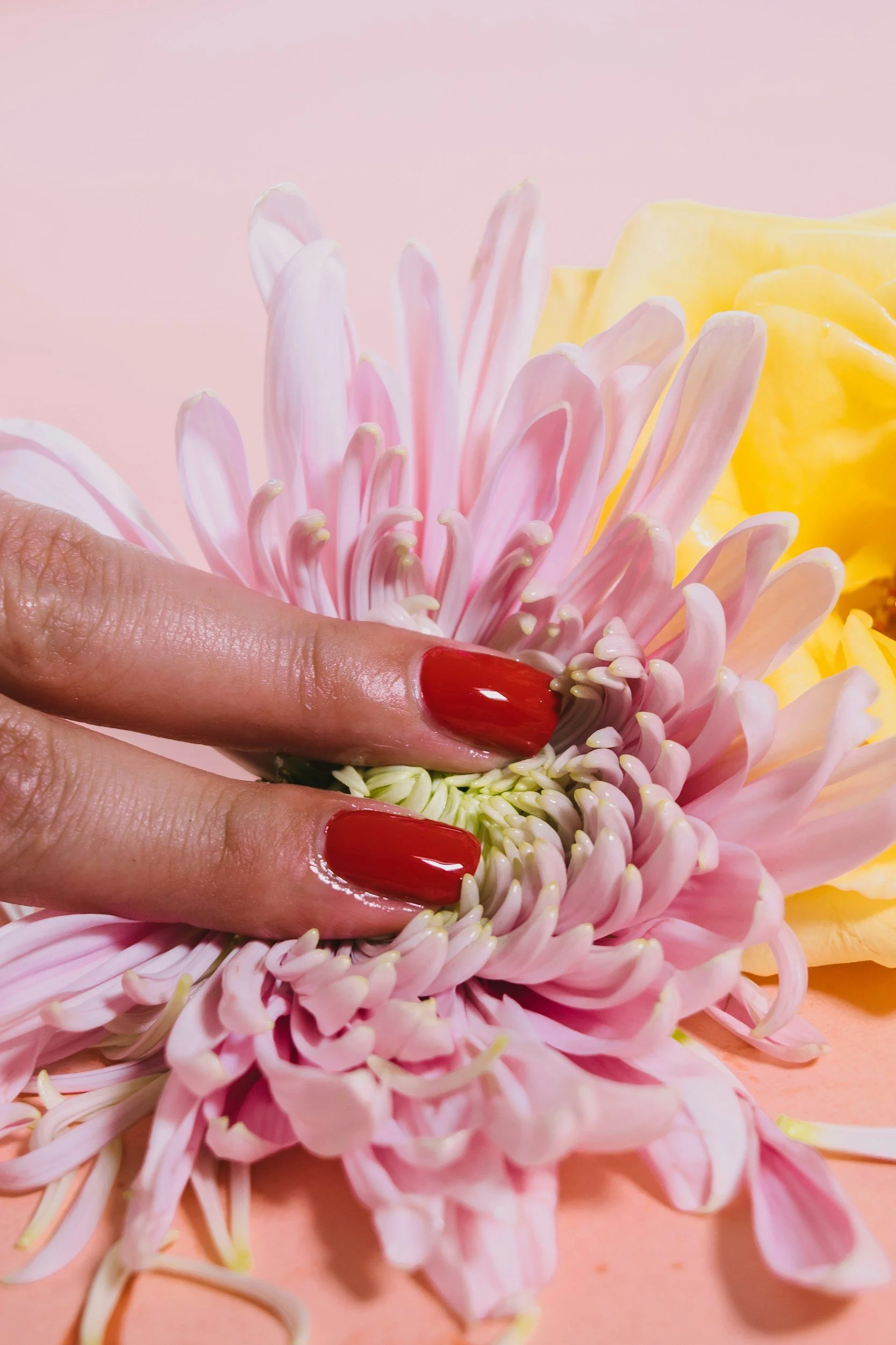 Living with hEDS, POTS, and MCAS: A Somatic Approach to Chronic Illness, Trauma, and Intimacy