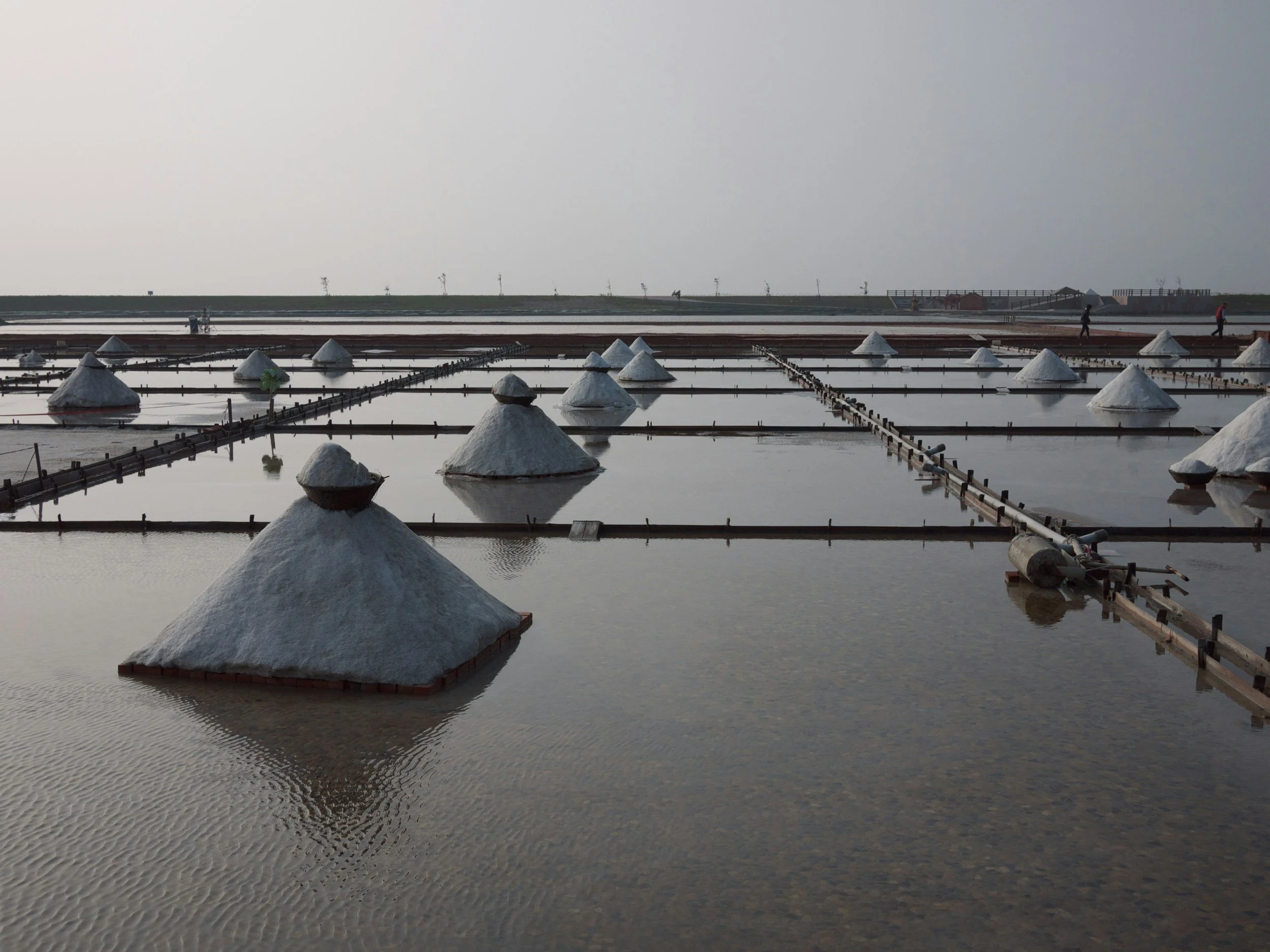Salt pans with mounds of salt
