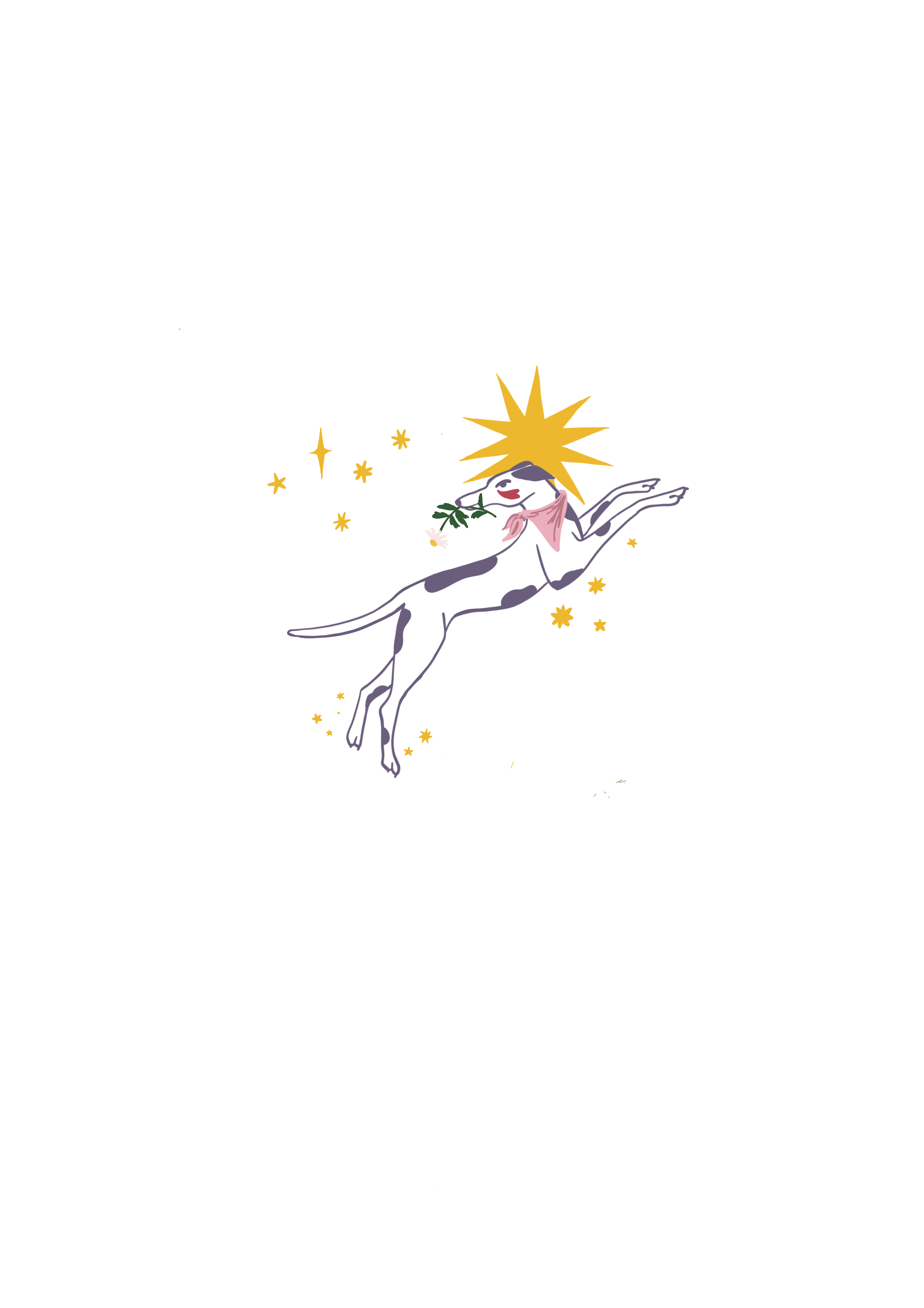 IMG_0168.png
