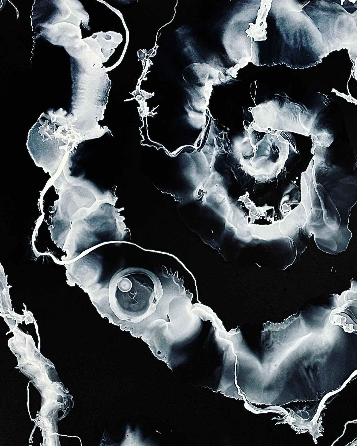 &hellip;&hellip;&hellip;&hellip;&hellip;&hellip;&hellip;&hellip;&hellip;&hellip;&hellip;&hellip;&hellip;&hellip;&hellip;&hellip;&hellip;..
𝘥𝘦𝘧𝘳𝘢𝘨 𝘊: 001

24 in. x 36 in. 
alcohol ink on @narainfiniti synthetic paper
2022 
&hellip;&hellip;&hell