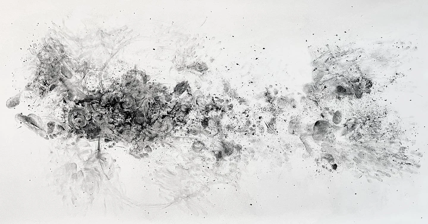 | two birds

|  𝟺𝟸 𝚒𝚗. 𝚡 𝟷𝟶𝟸 𝚒𝚗.
|  𝚌𝚑𝚊𝚛𝚌𝚘𝚊𝚕 𝚘𝚗 𝚙𝚊𝚙𝚎𝚛
|  𝟸𝟶𝟸𝟸
-.-.-

My work for the past four months has been a whirlwind of temper tantrums, reflecting the state of my mental health as I struggle to find balance. 

I ha