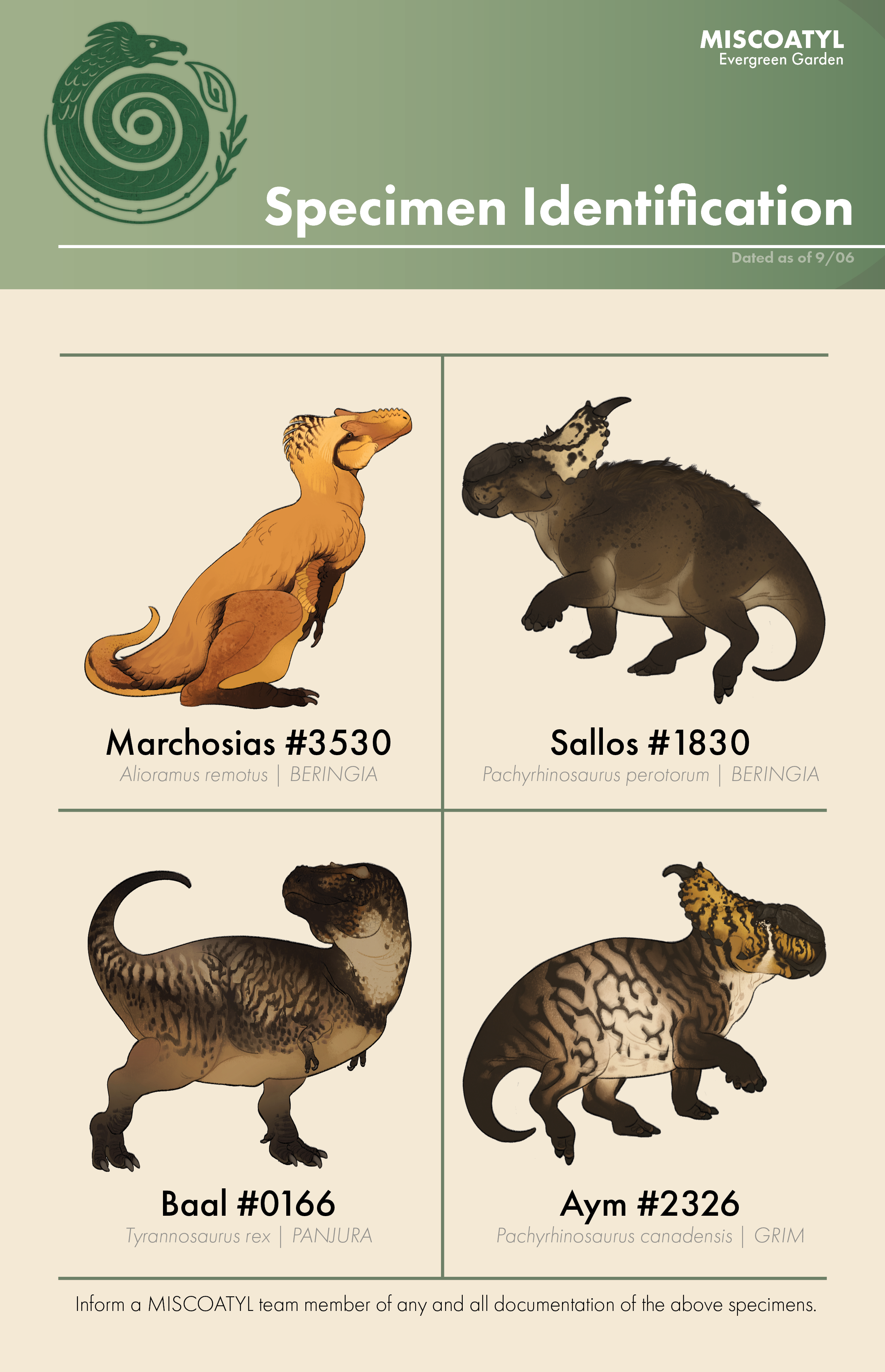 MISCOATYL SpecimenIdentification#1.png