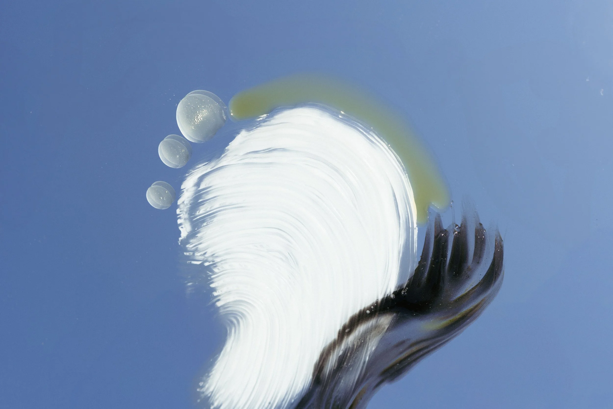 009A5844 copy.jpg