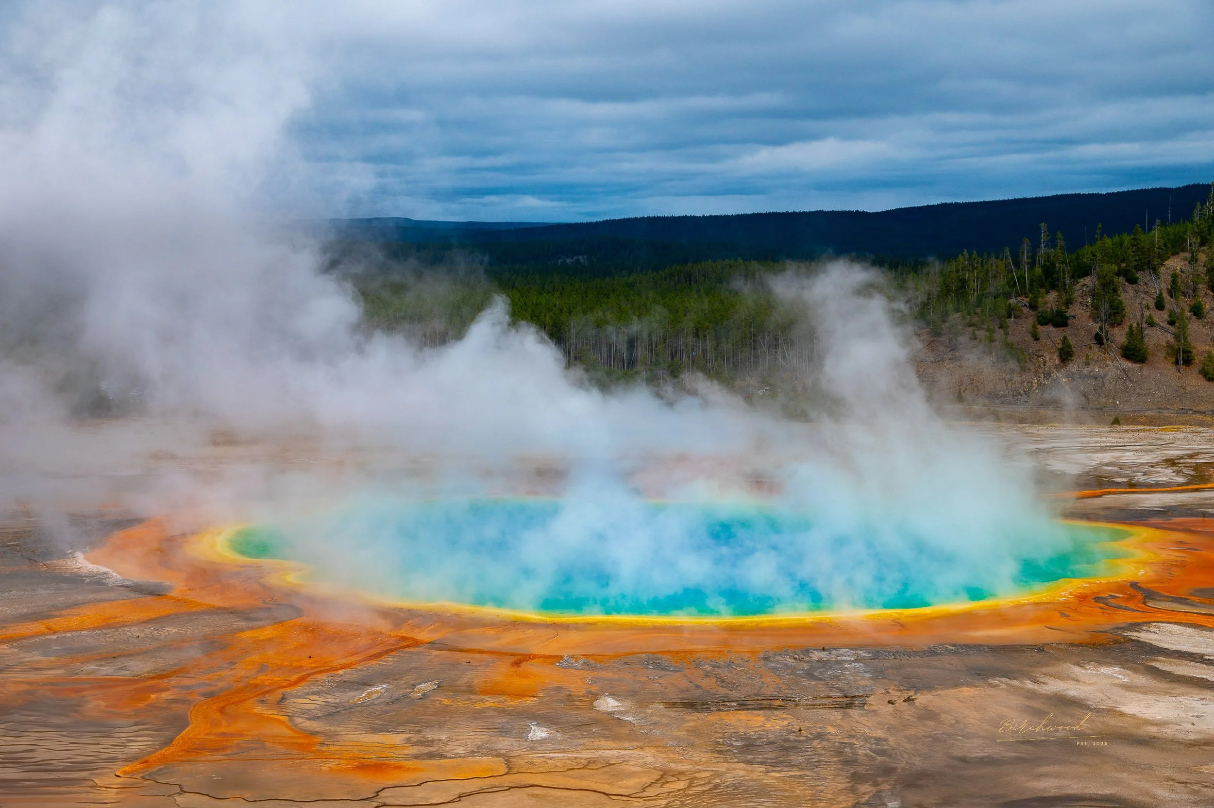 Grand Prismatic Spring, a colorful geothermal hot spring in Yellowstone, with steam rising, surrounded by orange and brown mineral deposits, and a forested hillside under a cloudy sky.