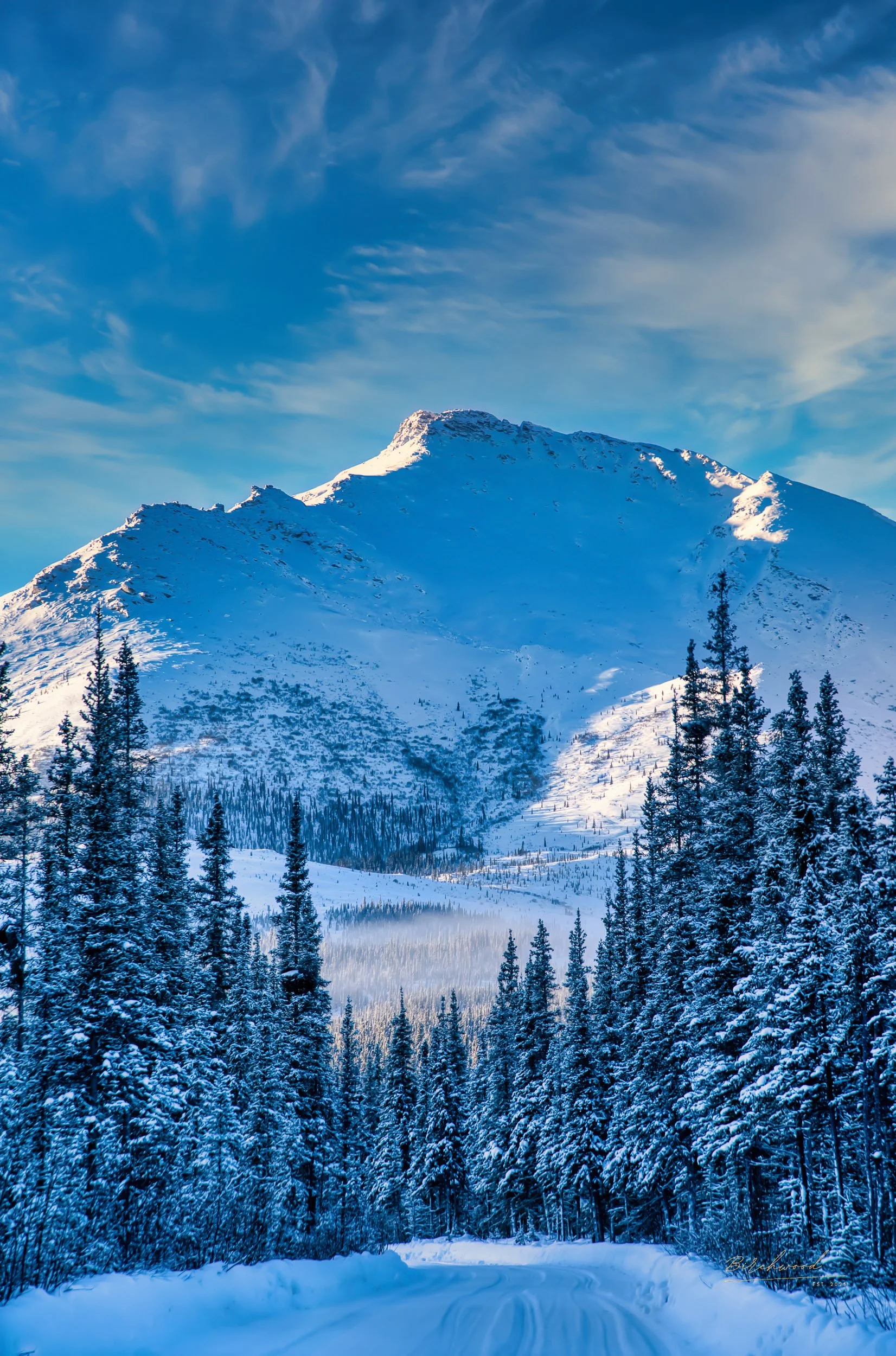 Snow-covered mountain of the Brooks Range in Alaska with a blue sky and wispy clouds, surrounded by dense evergreen trees in a winter landscape.