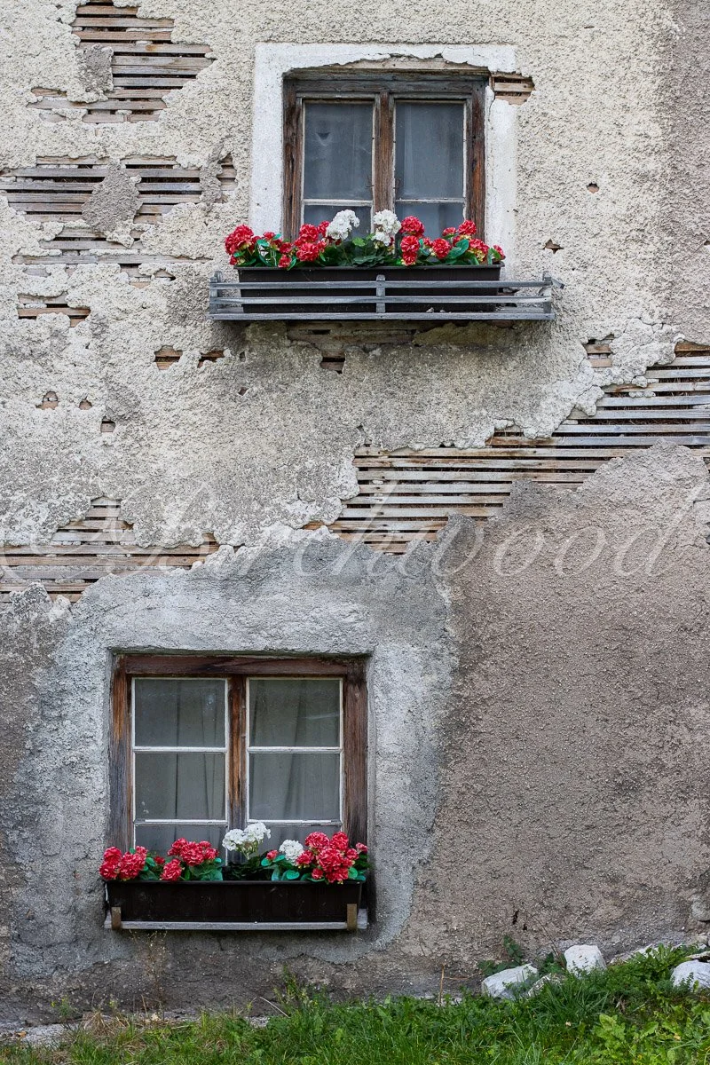 "Life in Windows"