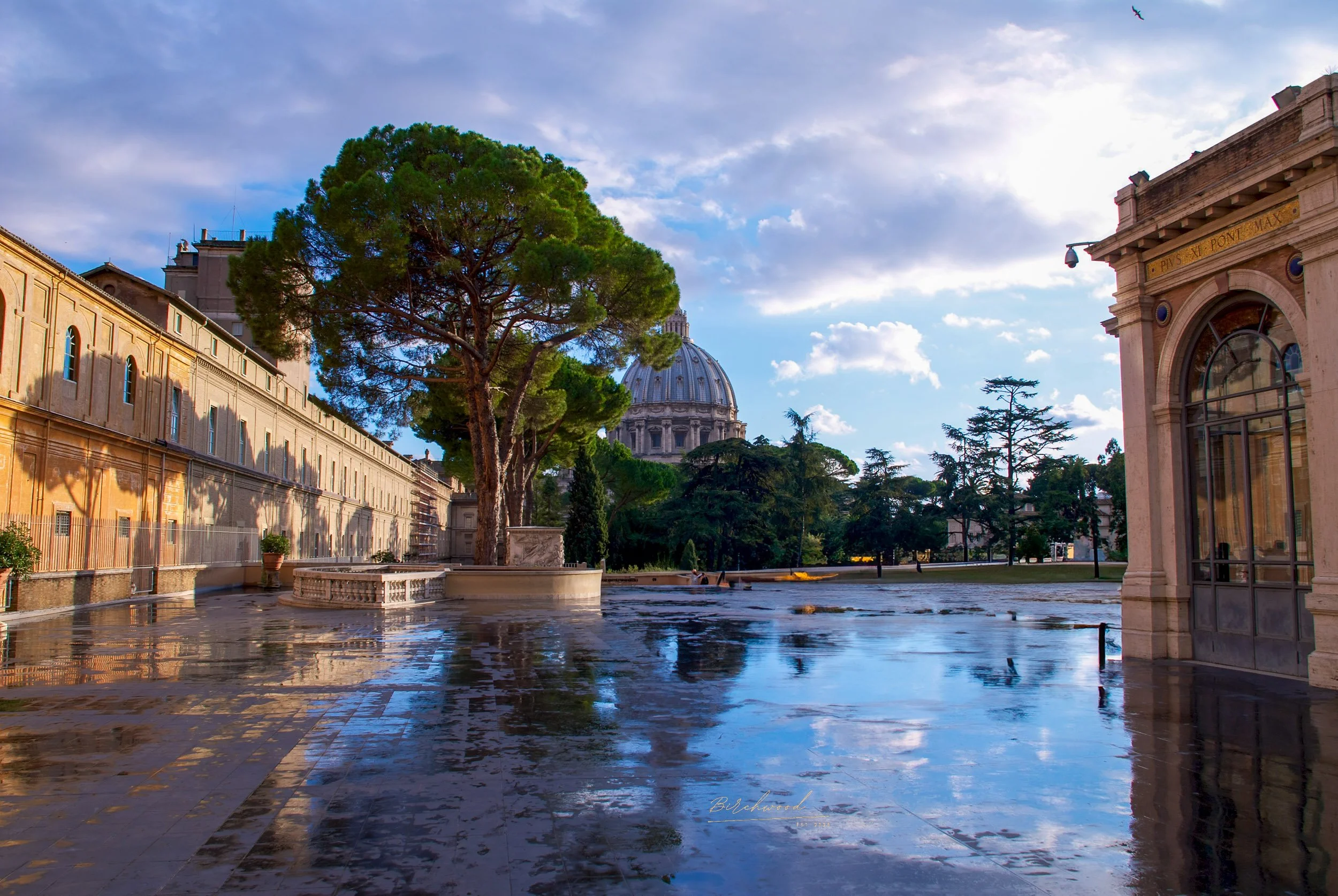 A rain-soaked open square in the Vatican with a large tree, historic buildings, and the dome of St. Peter's Basilica in the background under a partly cloudy sky.