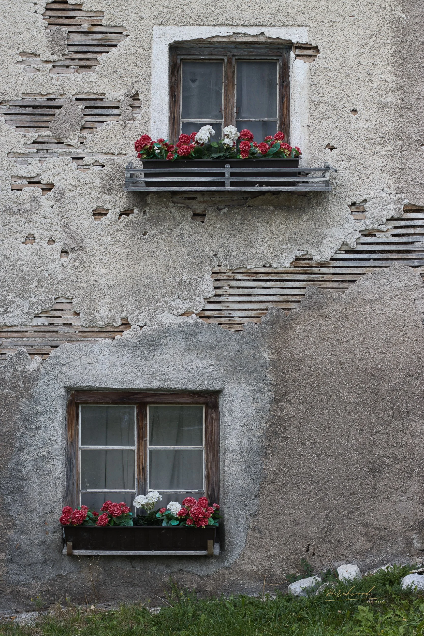 Two windows on a weathered, partially damaged building wall with flower boxes containing pink and white flowers.