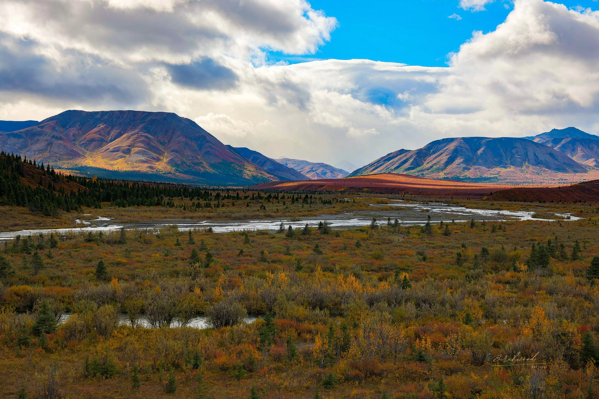 A scenic landscape of mountains in Denali National Park, Savage river flowing through a forested plain, with partly cloudy skies overhead.
