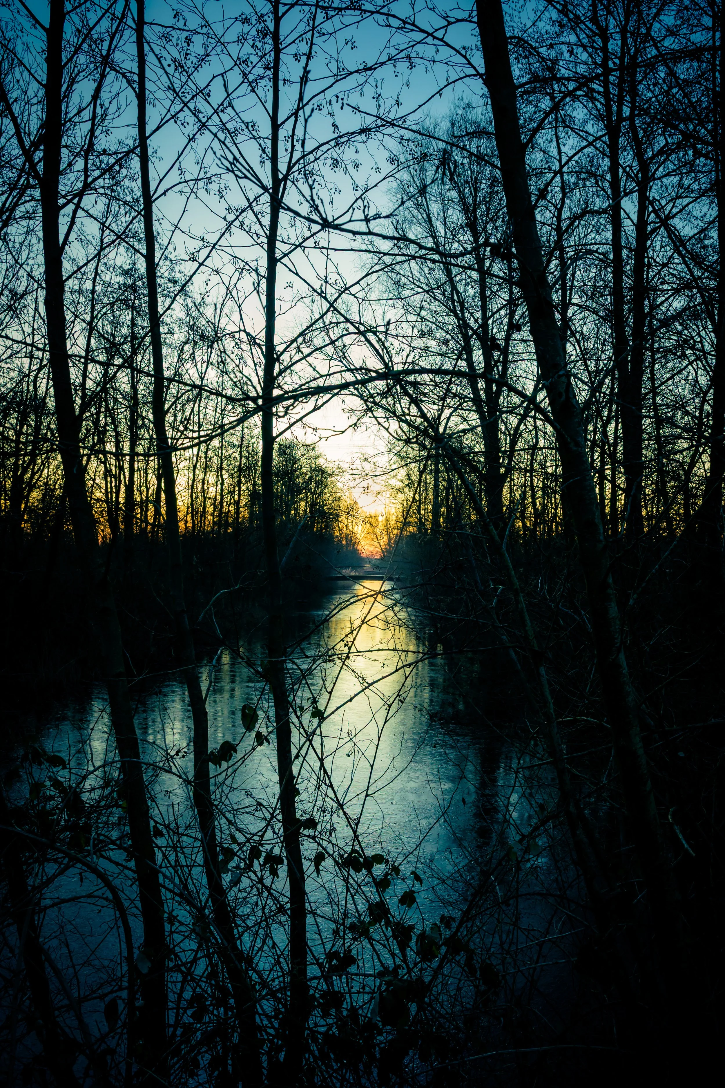 Bridge at First Light
