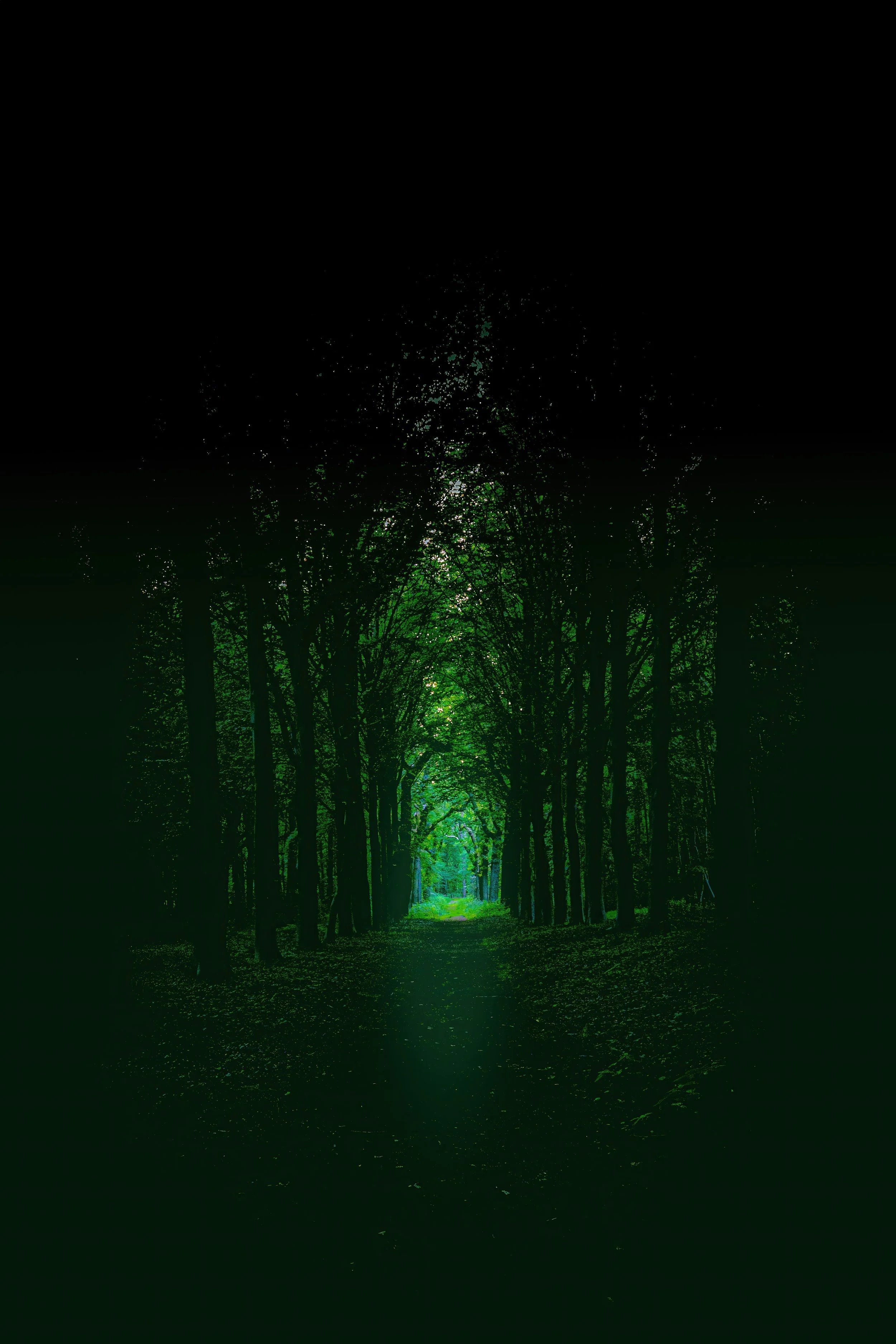 Desolation at Night, 297 mm x 420 mm or 11.7 x 16.5 in,  €250   Read the story →  