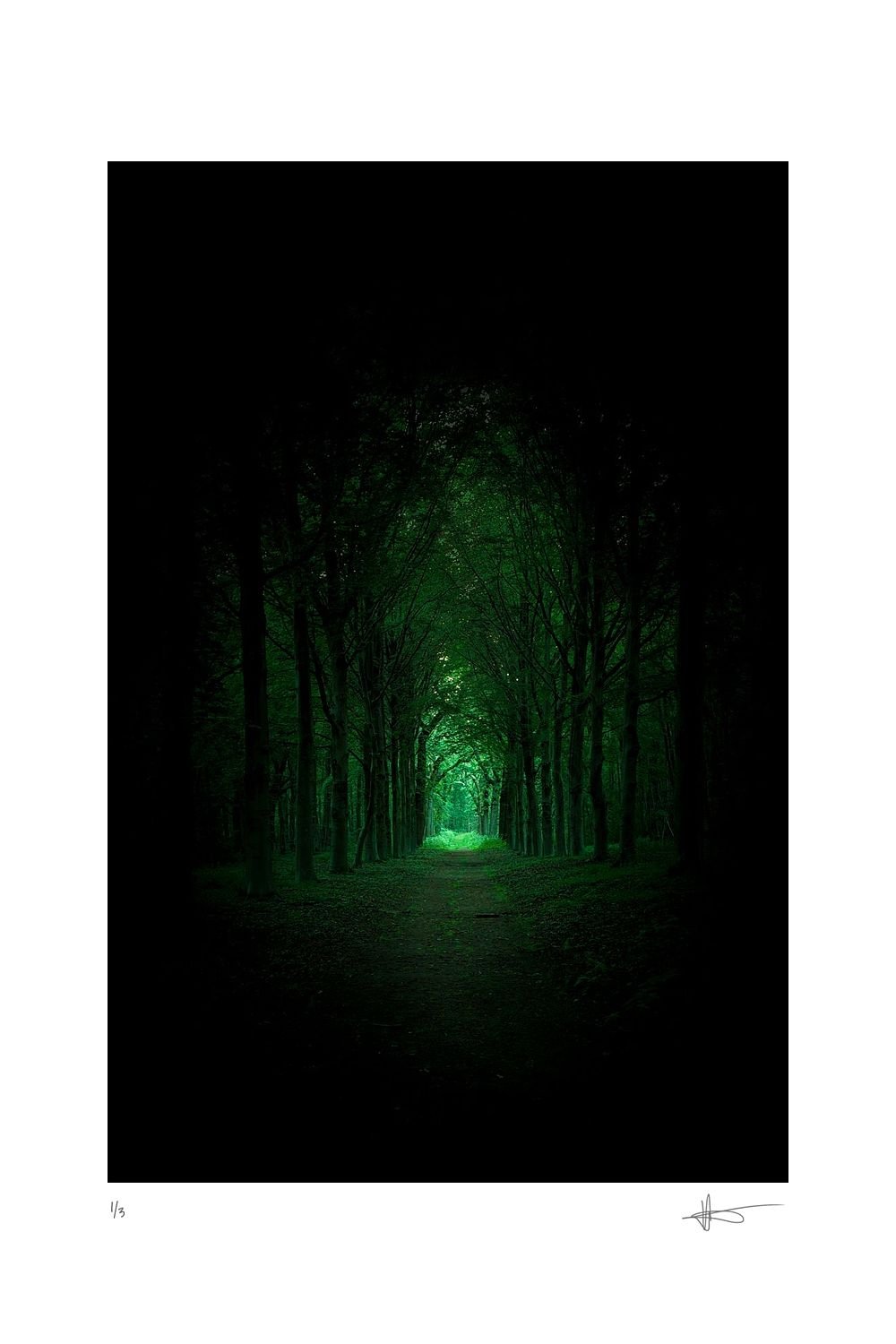 Desolation at Night