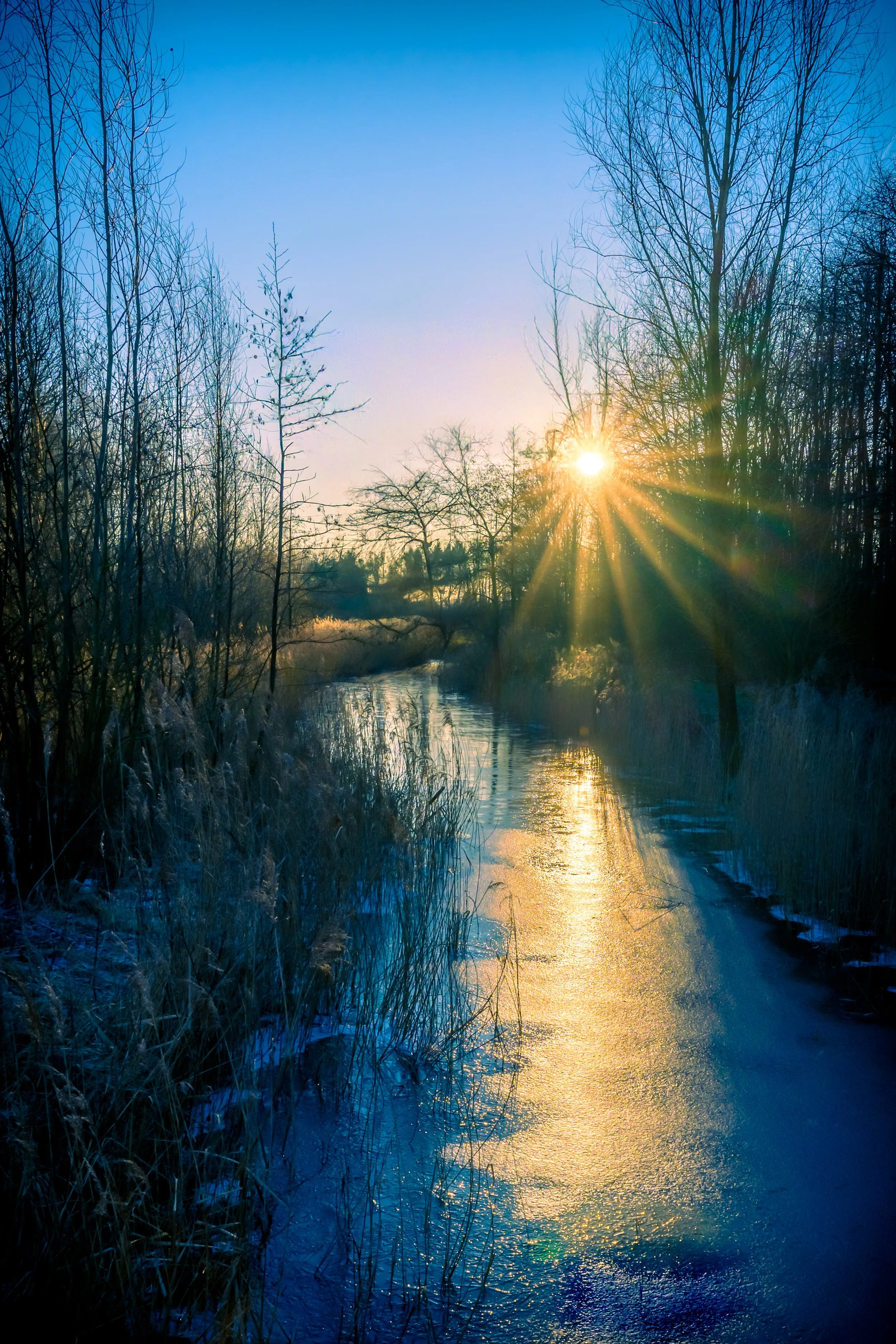 Chrysalis, 297 mm x 420 cm or 11.7 x 16.5 in,  €250   Read the story →  