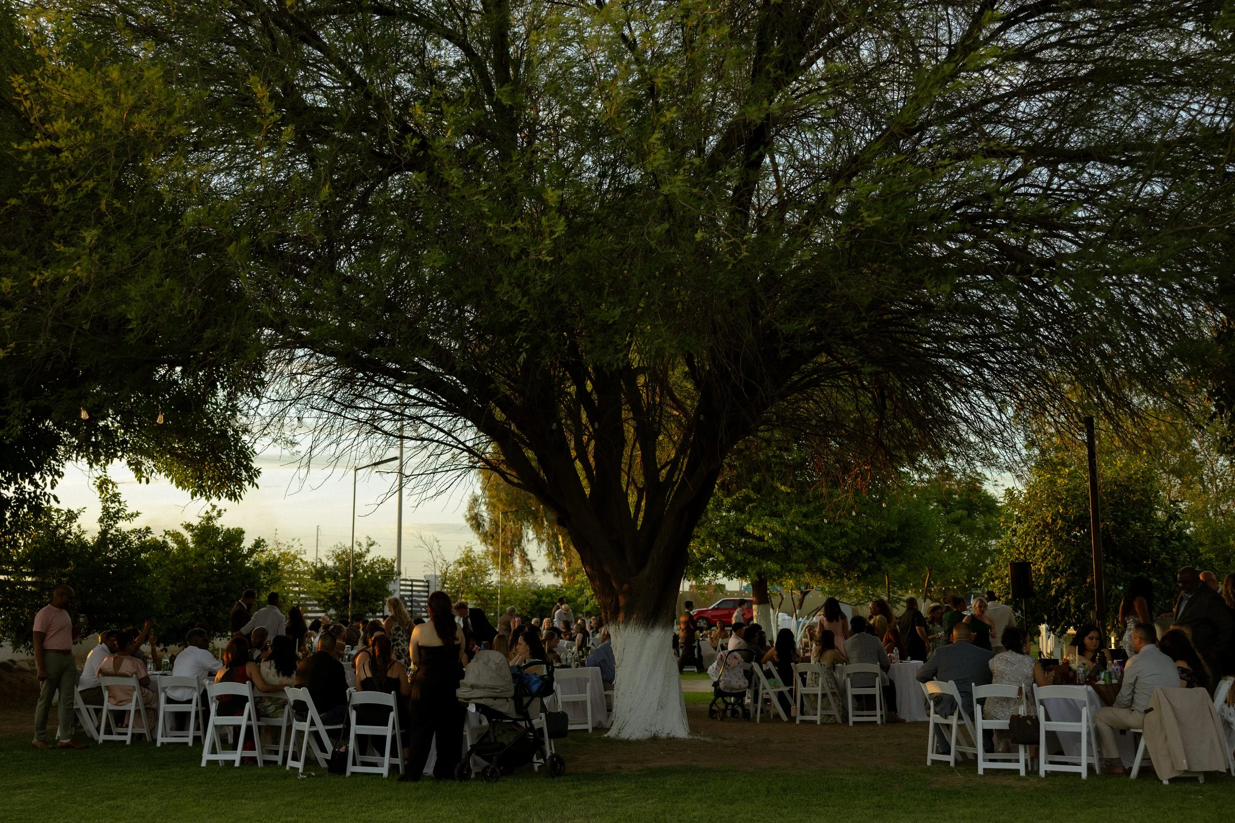 Callistastudiosco_DeWildeWedding-538.jpg