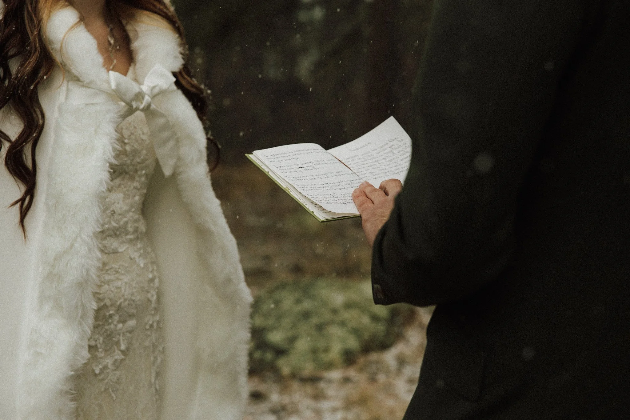 Snowy cabin wedding- Flagstaff AZ