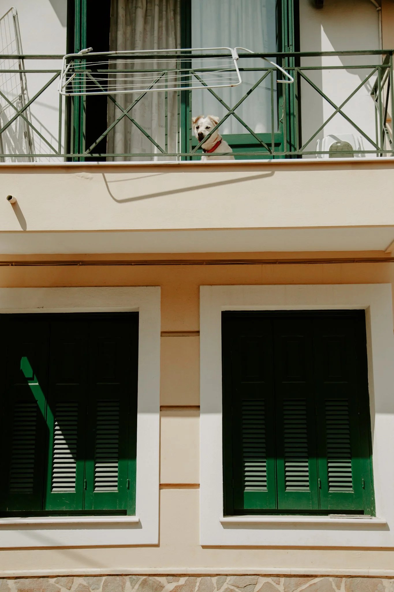 A small white dog with a red collar looking over a balcony railing.