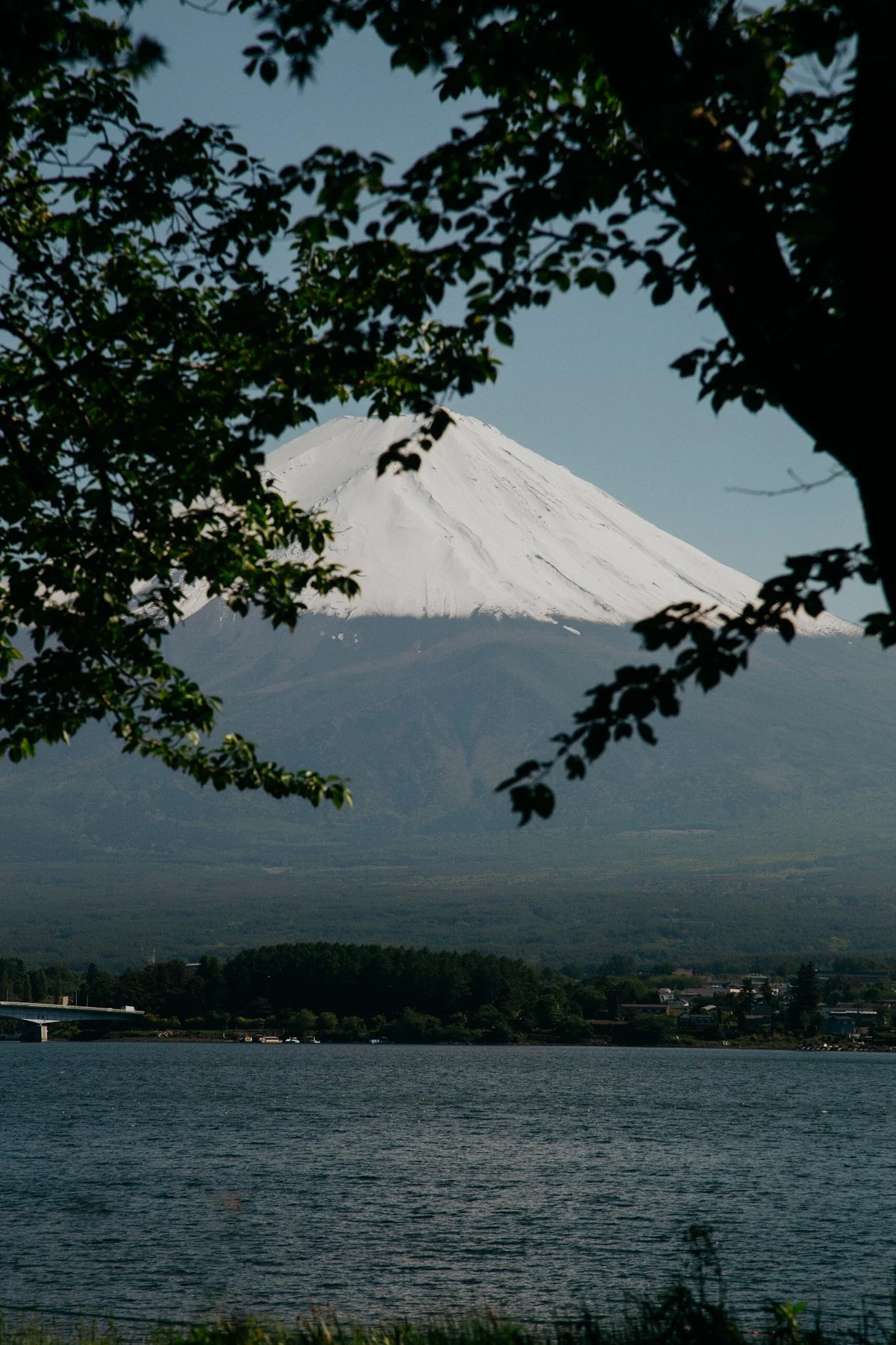 Snow-capped Mount Fuji viewed through green tree branches over a body of water with a small town at the base.