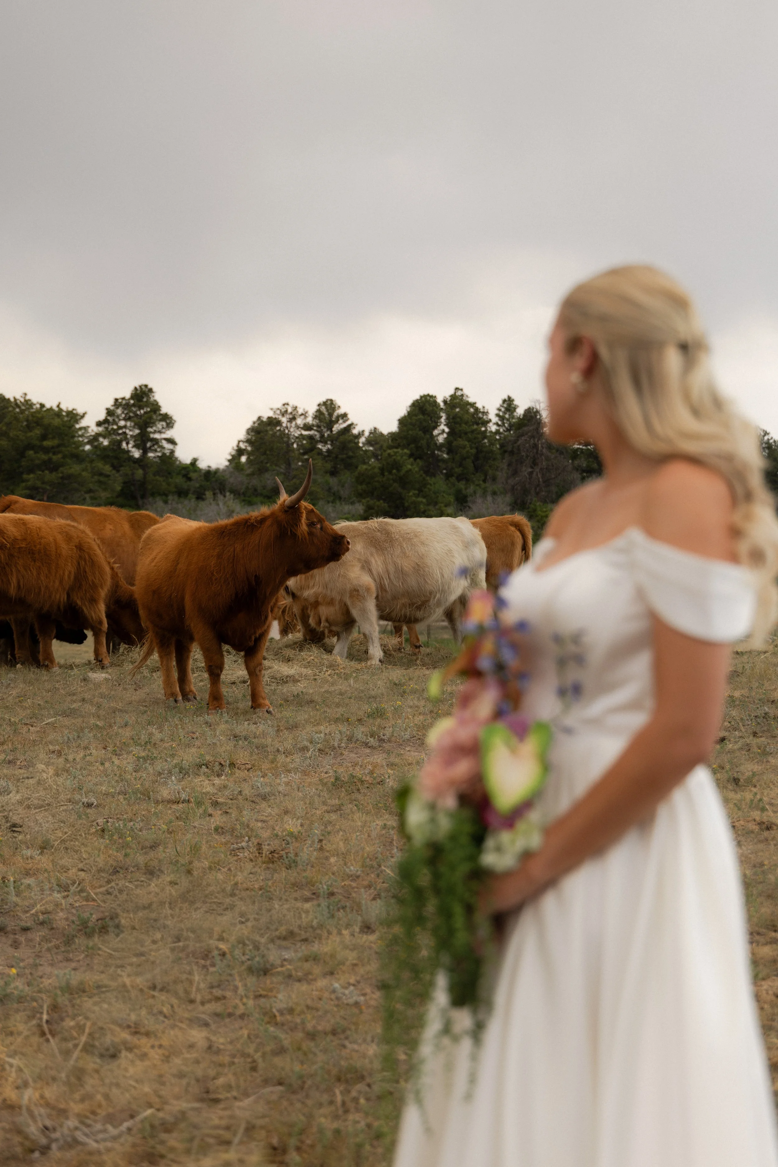 Romerowedding26_callistastudios-271.jpg