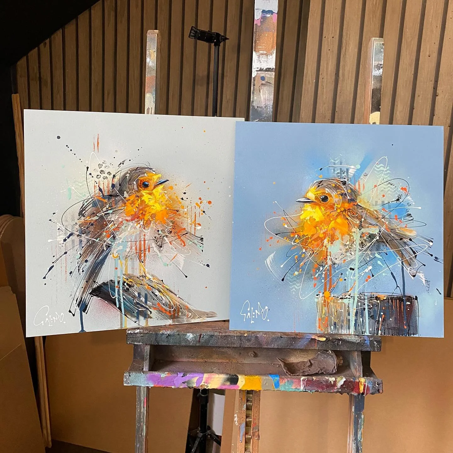 timeless classics
.
.
#robin #robinpainting #wildlifeart #britishwildlifeart #abstractwildlife