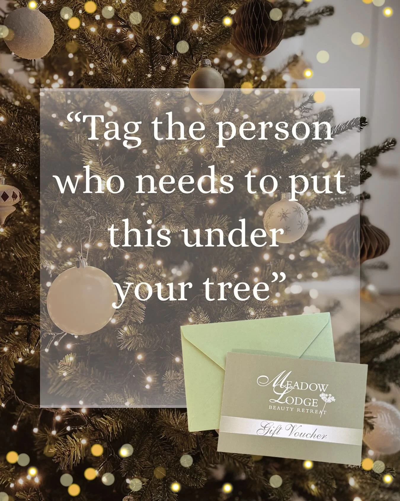 ✨ Tag the person who needs to put this under your tree ✨

This Christmas, skip the guesswork and ask for what you really want:
✨ deep relaxation
✨ glowing skin
✨ quiet time just for you

A Meadow Lodge Beauty Retreat gift voucher is more than a prese